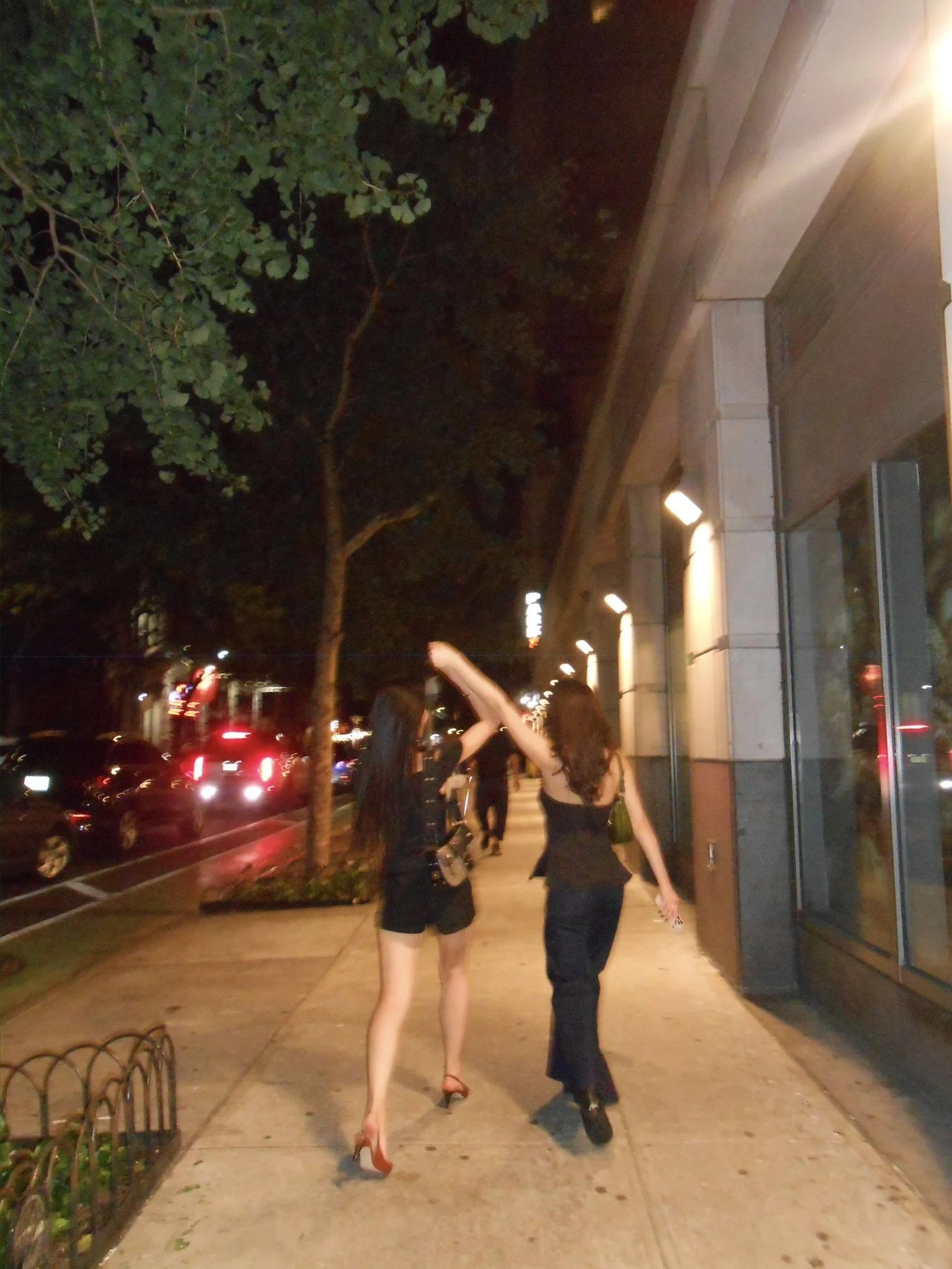 DSCN5488.jpg