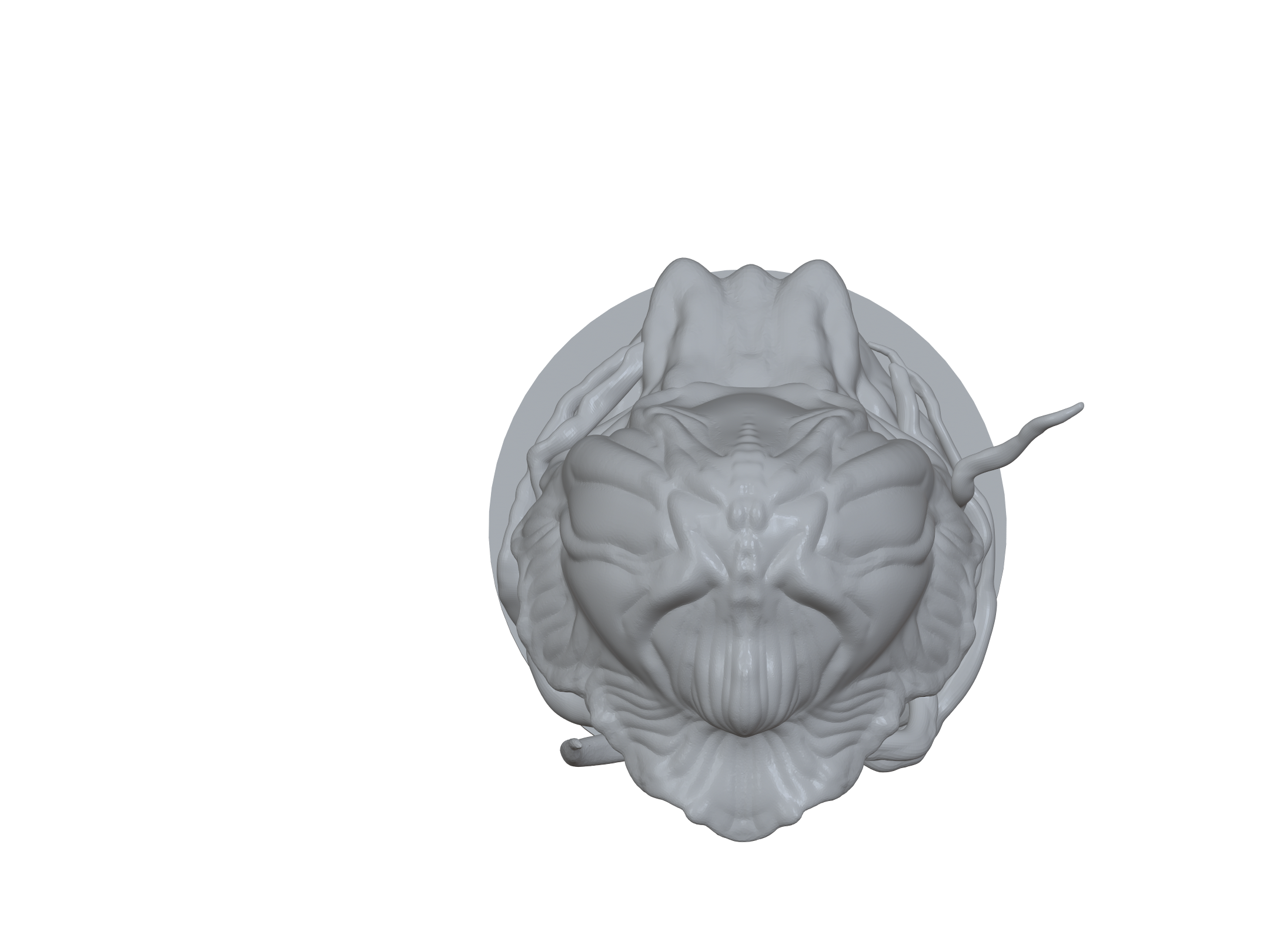 IMG_3109 (2).png