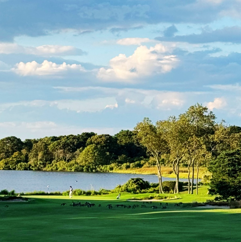 🍀 Mulligans, Mastery, and Meaningful Results: Golf Lessons for Business and Data