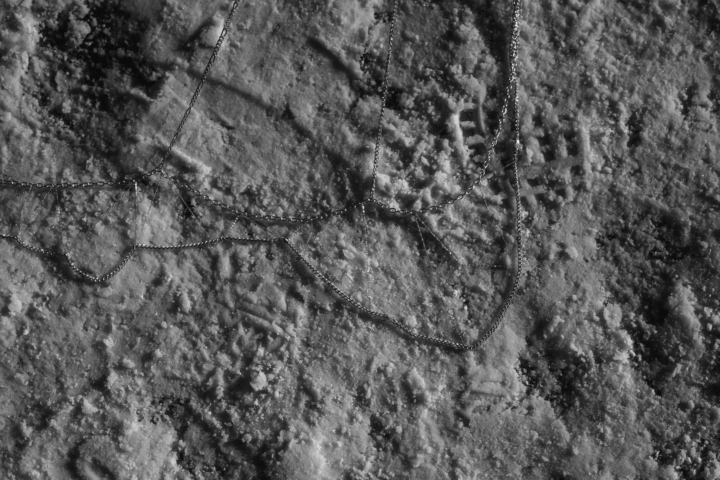 Photo Dec 11, 5 47 45 PM.jpg