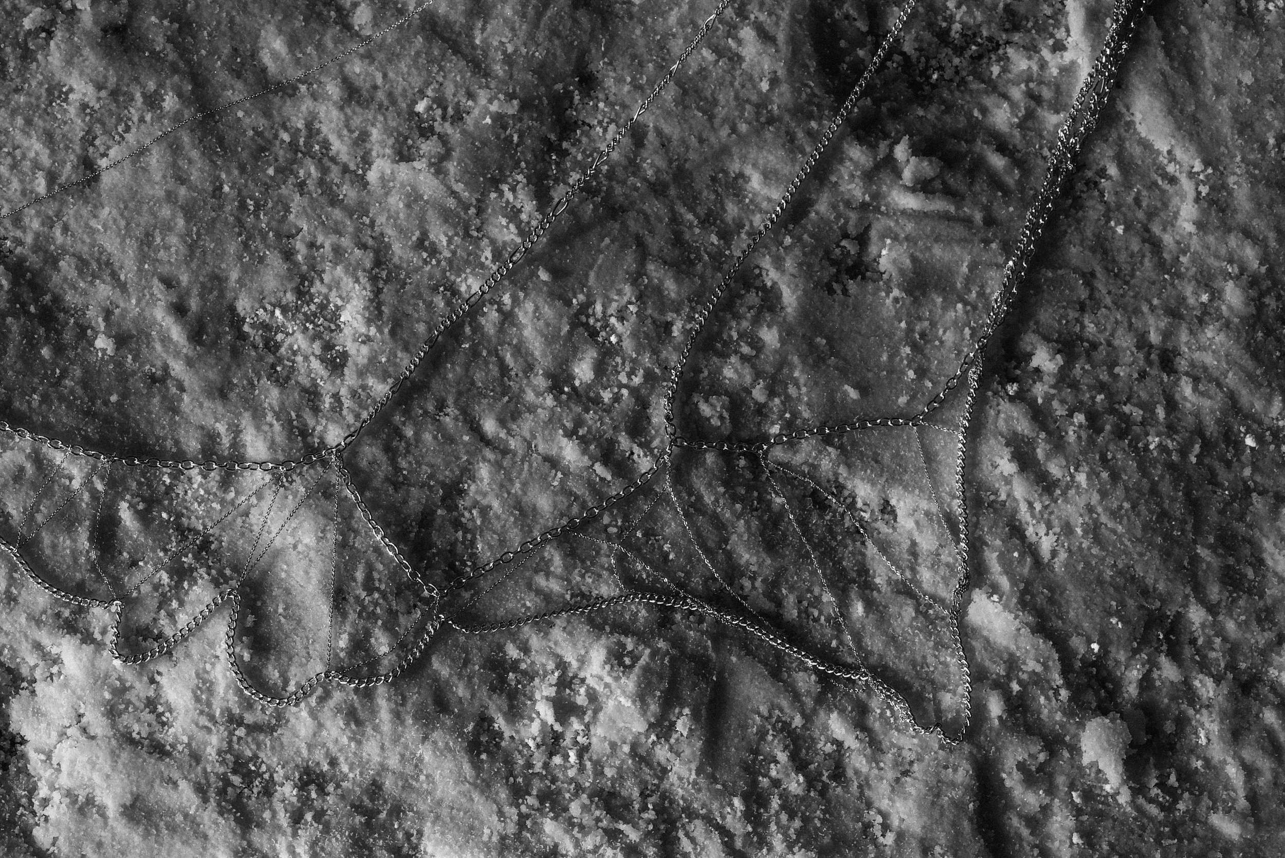 Photo Dec 11, 5 42 27 PM.jpg