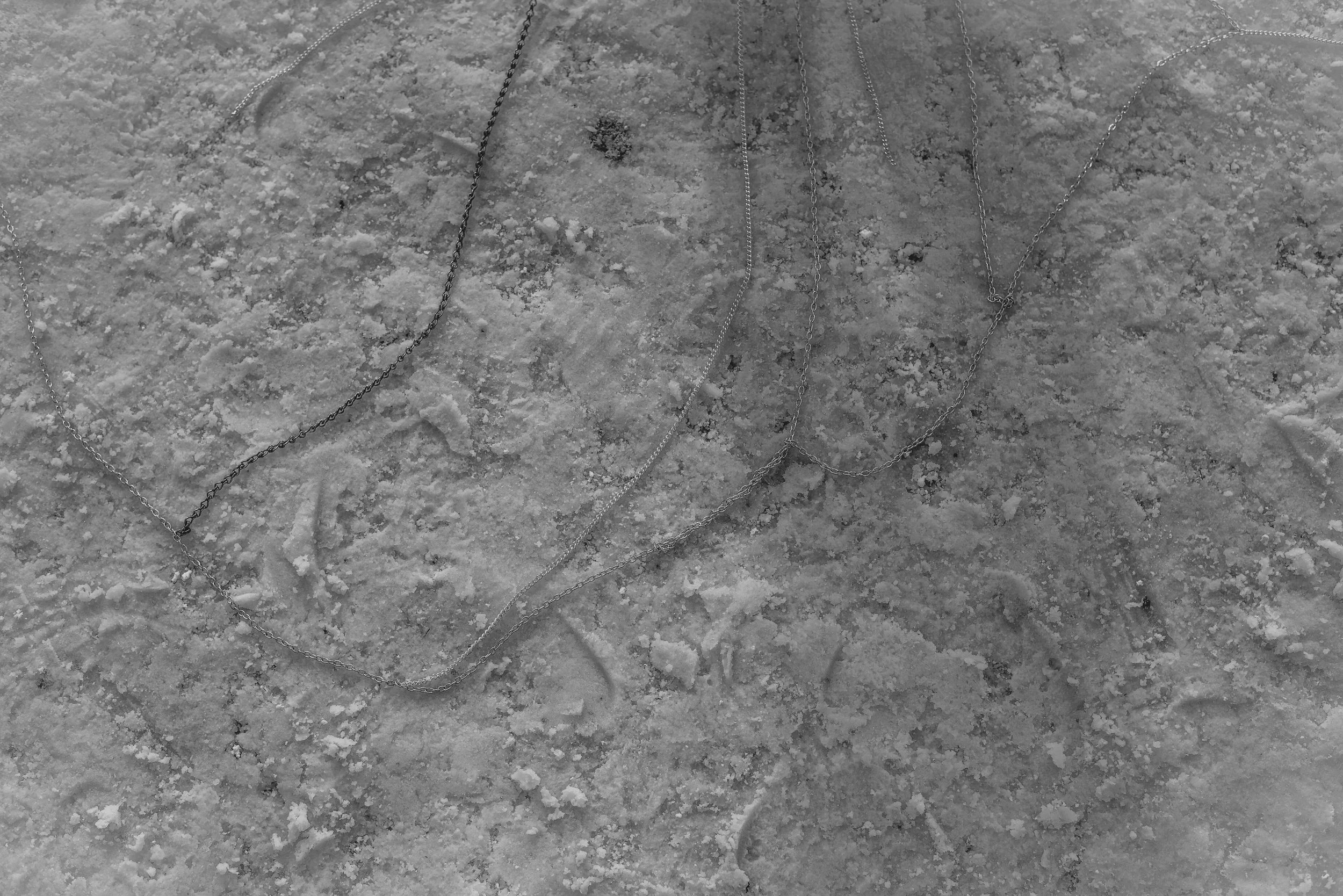 Photo Dec 11, 5 08 43 PM.jpg