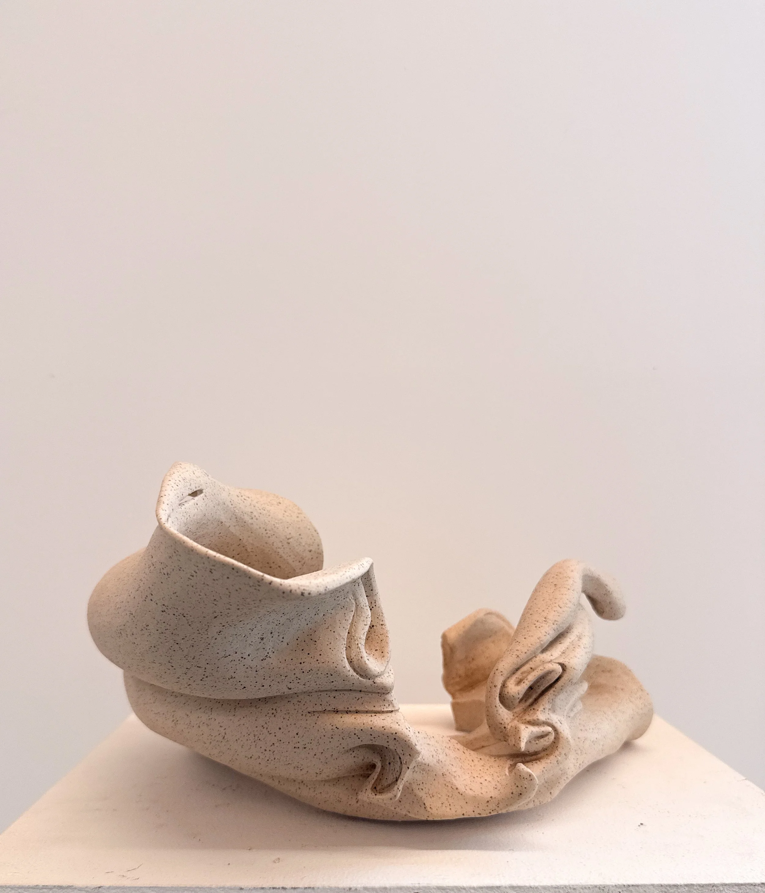 IMG_1607.jpg
