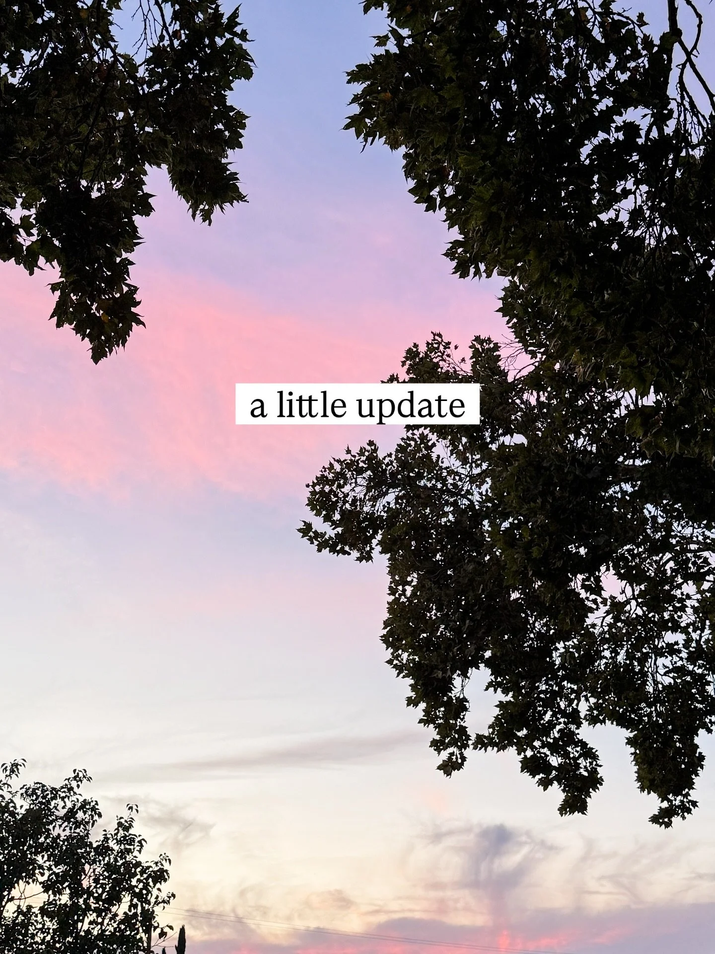 💕 A little update 💕

I&rsquo;ve just started my querying journey for my adult books, as my agent and I agreed that she continue to focus on my kidlit and graphic novels. I&rsquo;m excited to find the perfect partner for my adult projects!

Be on th