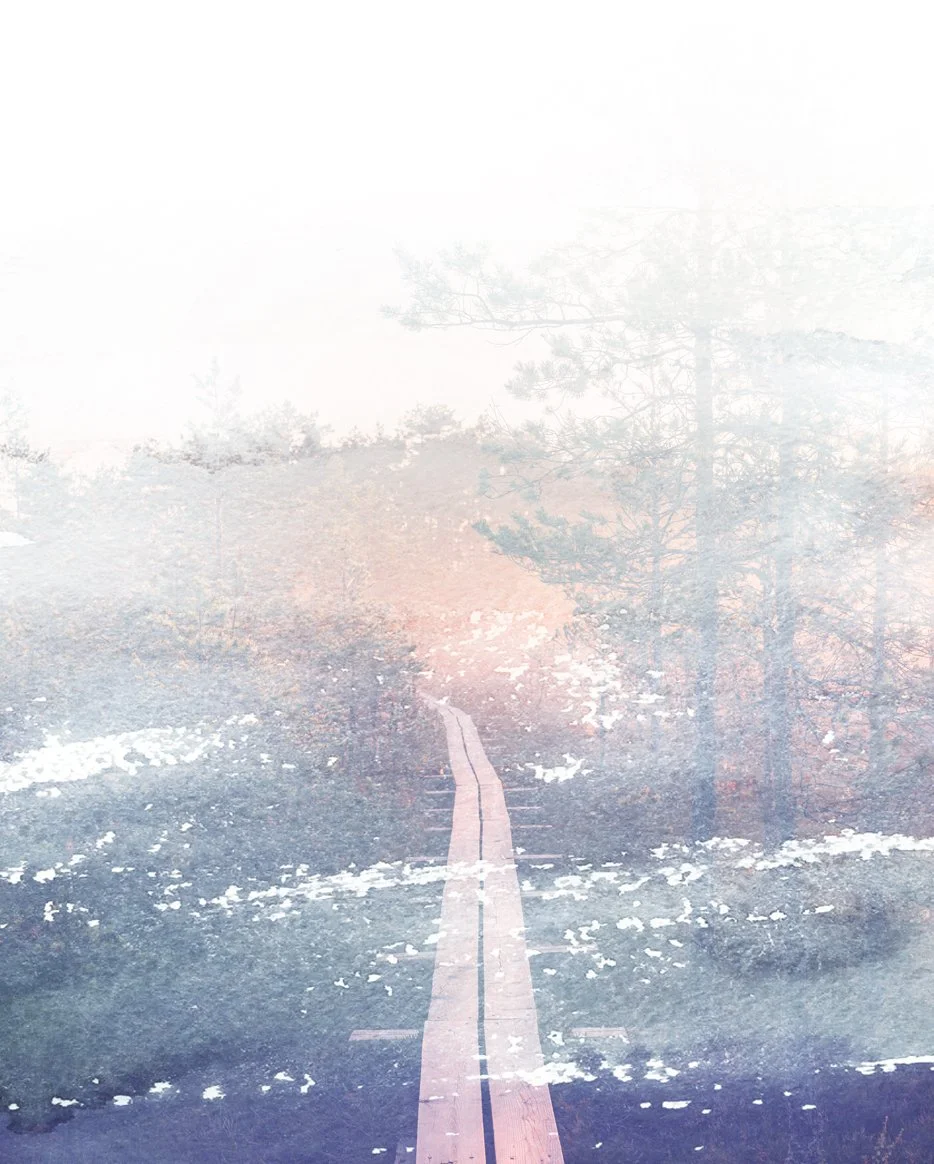 A wooden bridge leading into a foggy, wintery forest with snow on the ground and leafless trees.