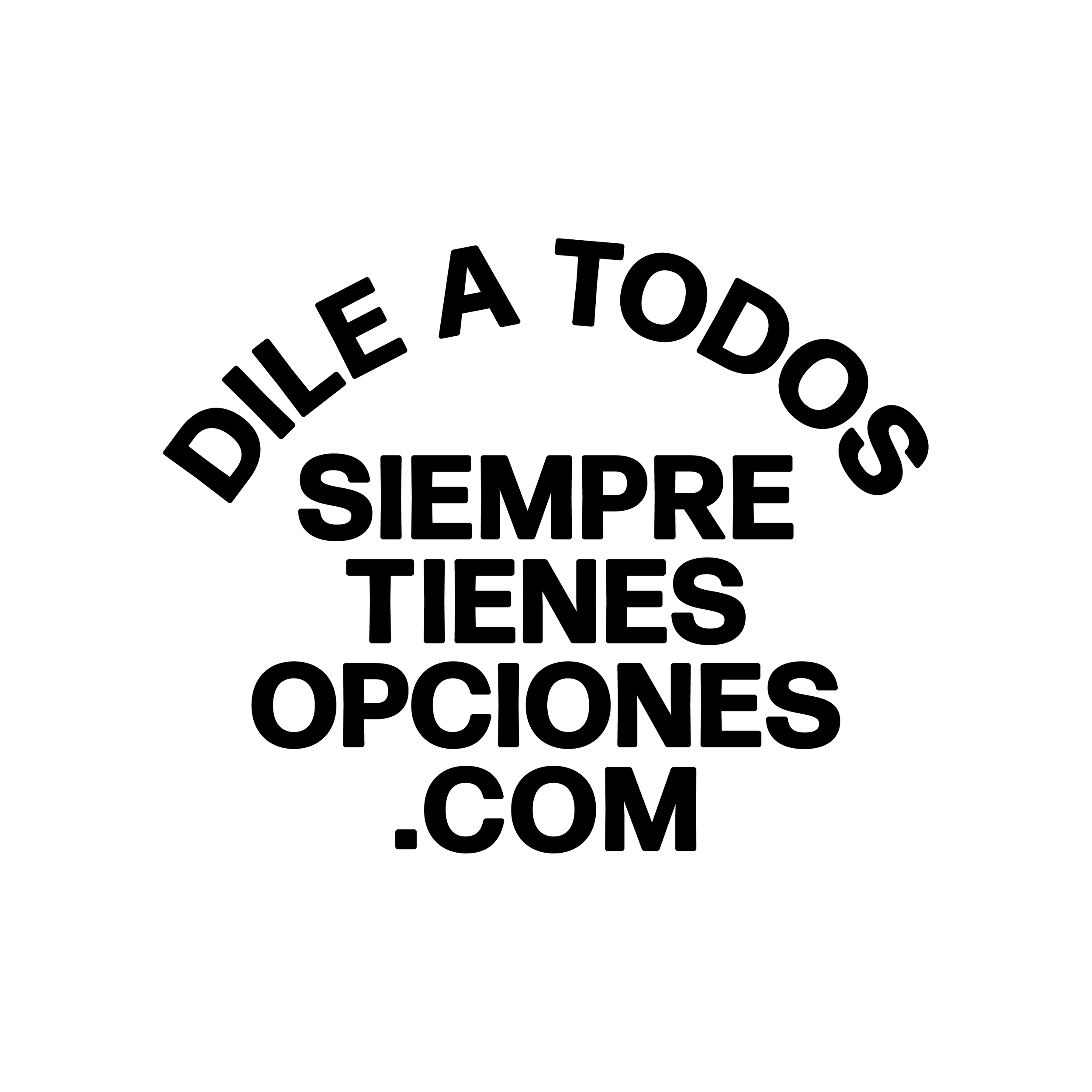 Charley_13_ESP_CC5_NMW.png