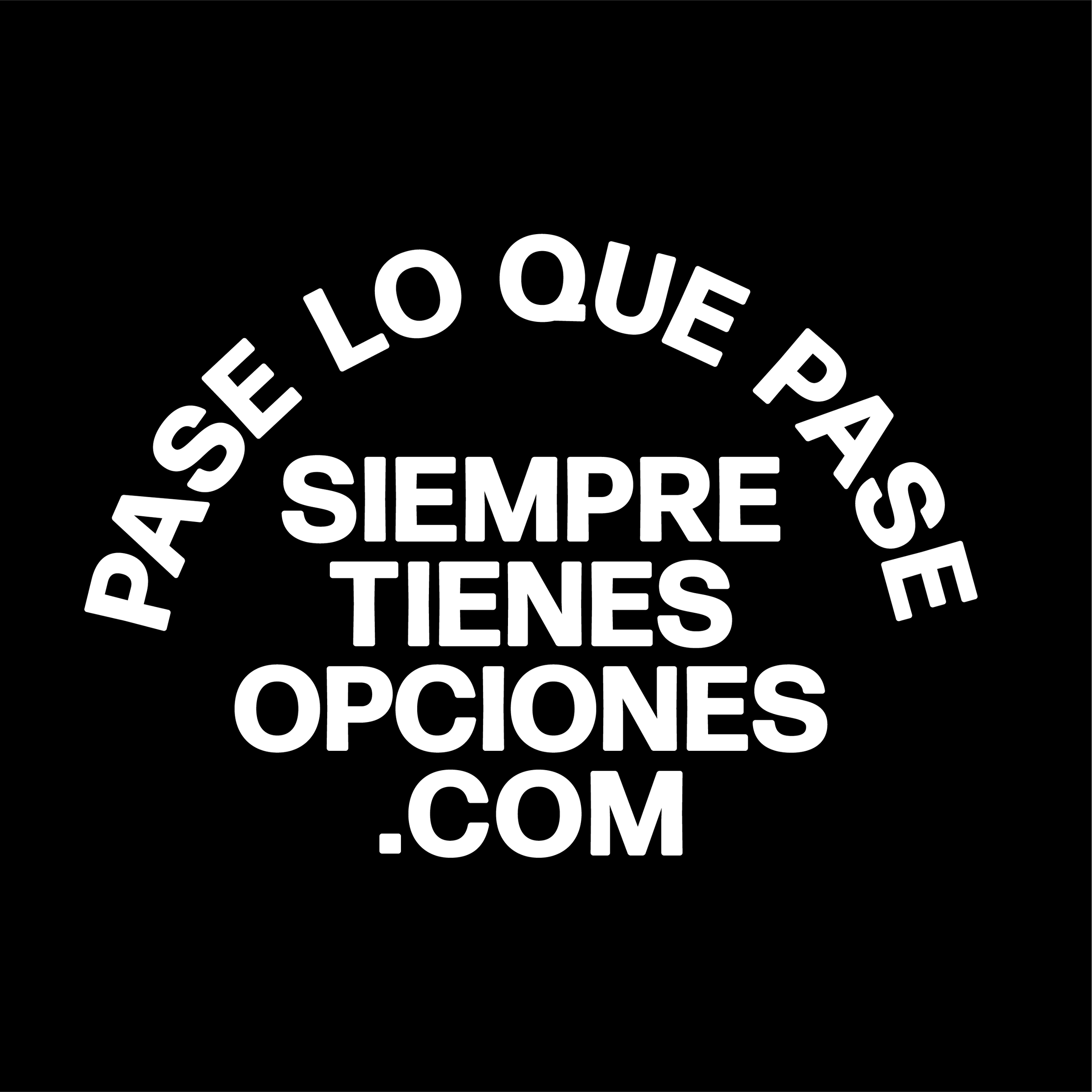 Charley_13_ESP_CC4_TE.png