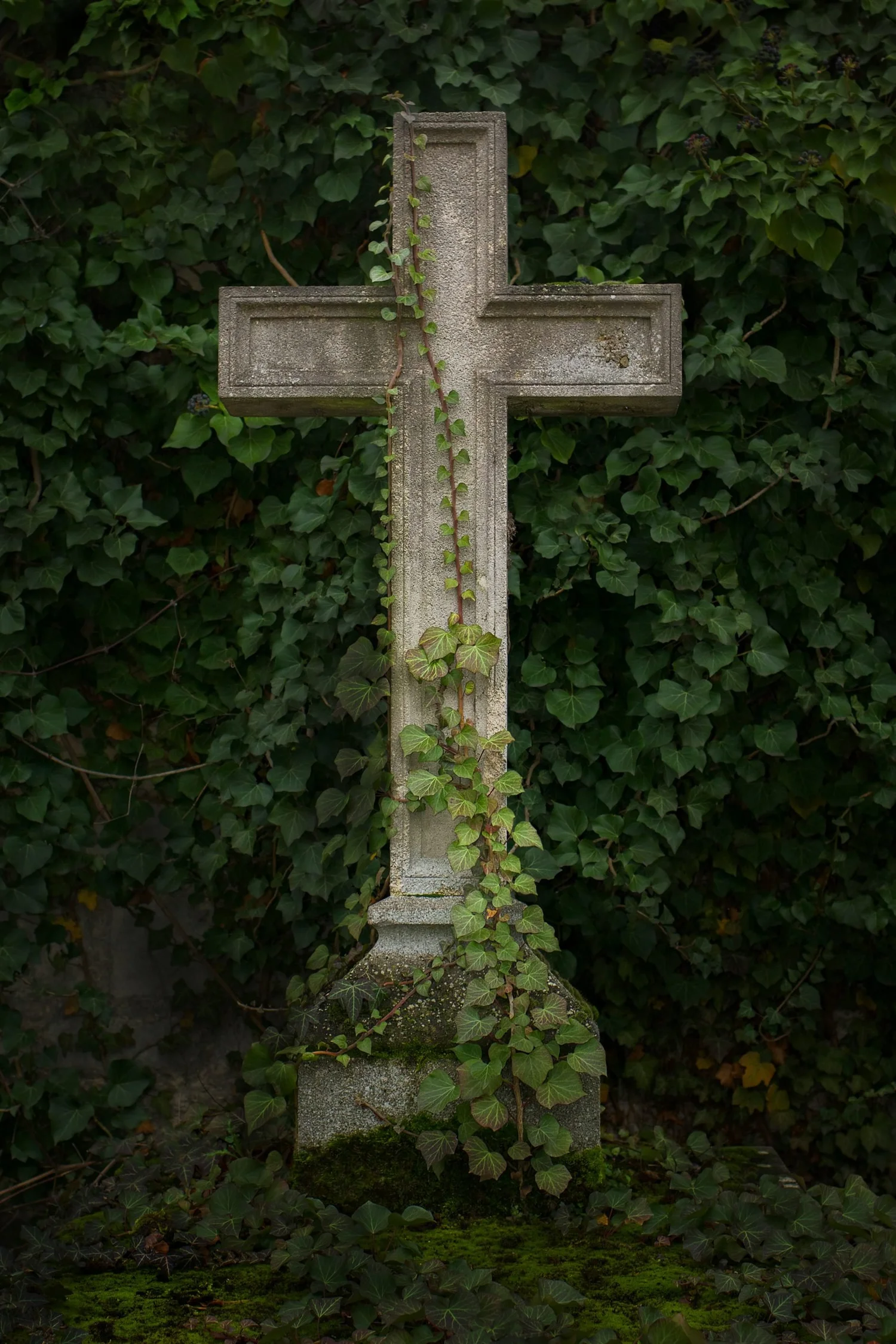 Stone cross overgrown with ivy, representing religious trauma therapy in Oklahoma