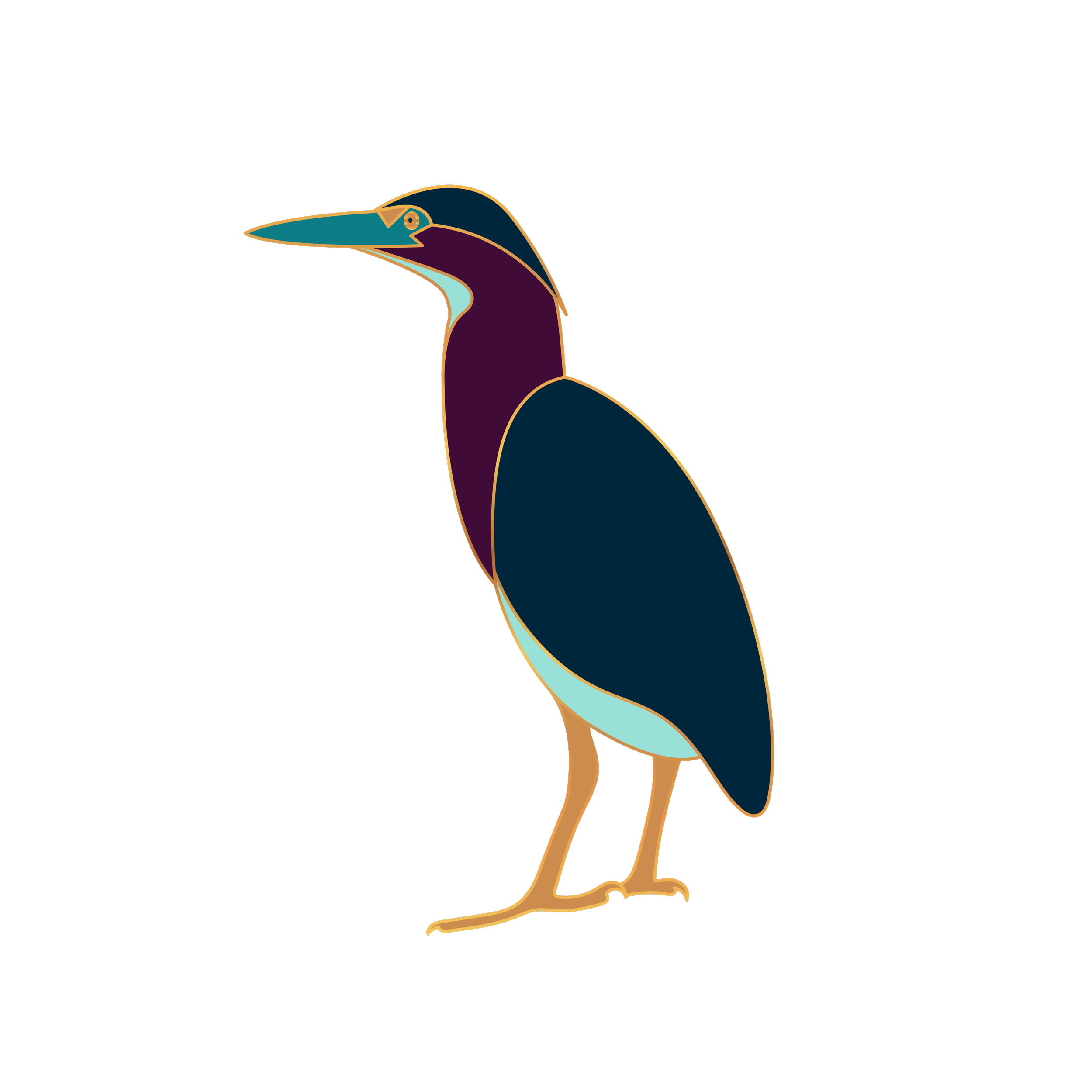 Green heron illustration representing Taylor Hendricks