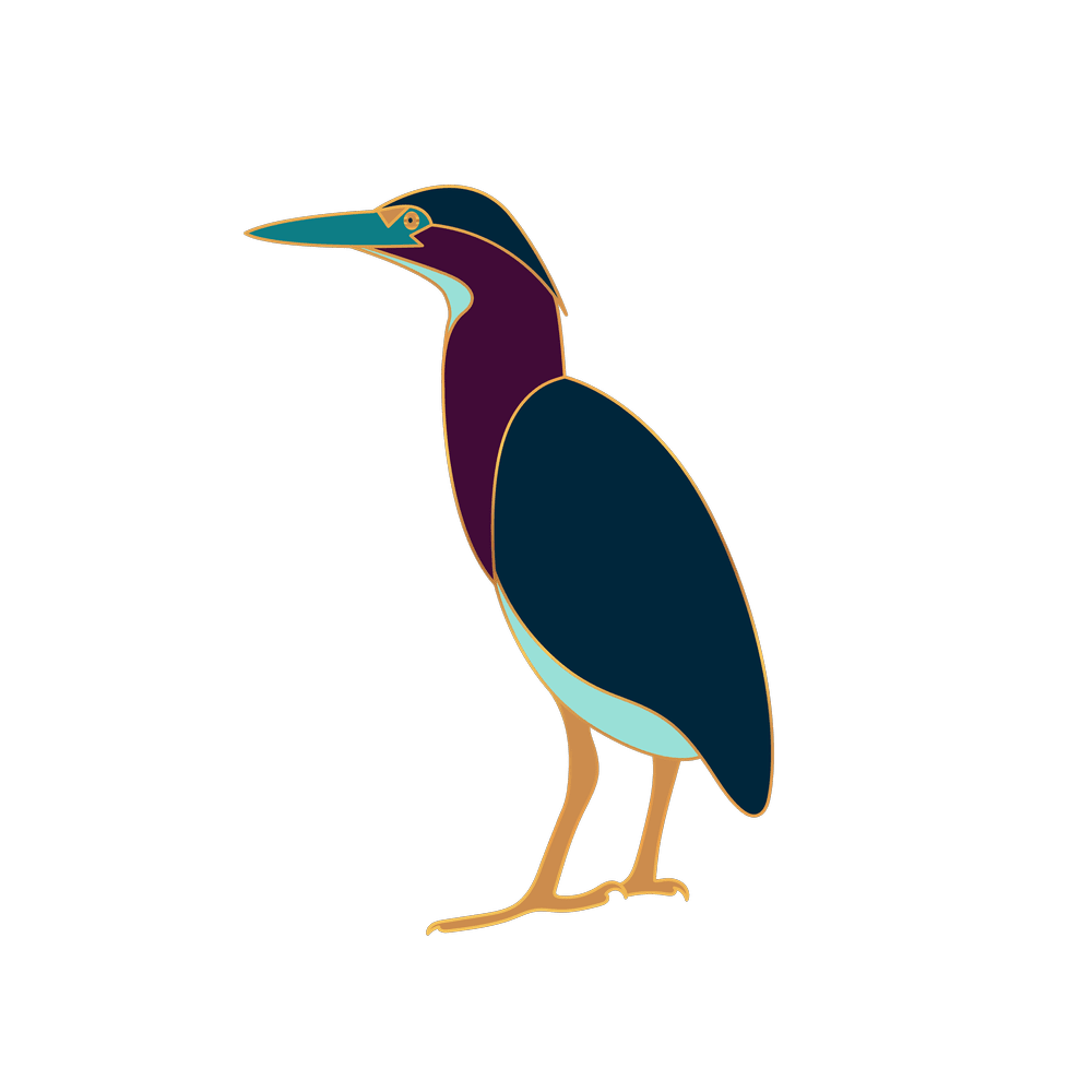Illustration of a green heron, Taylor Hendricks's bird in the Ala Therapy Collective aviary