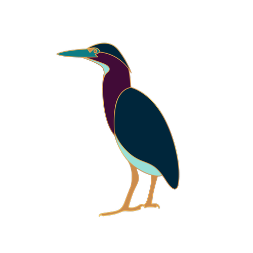 Green heron, Taylor Hendricks