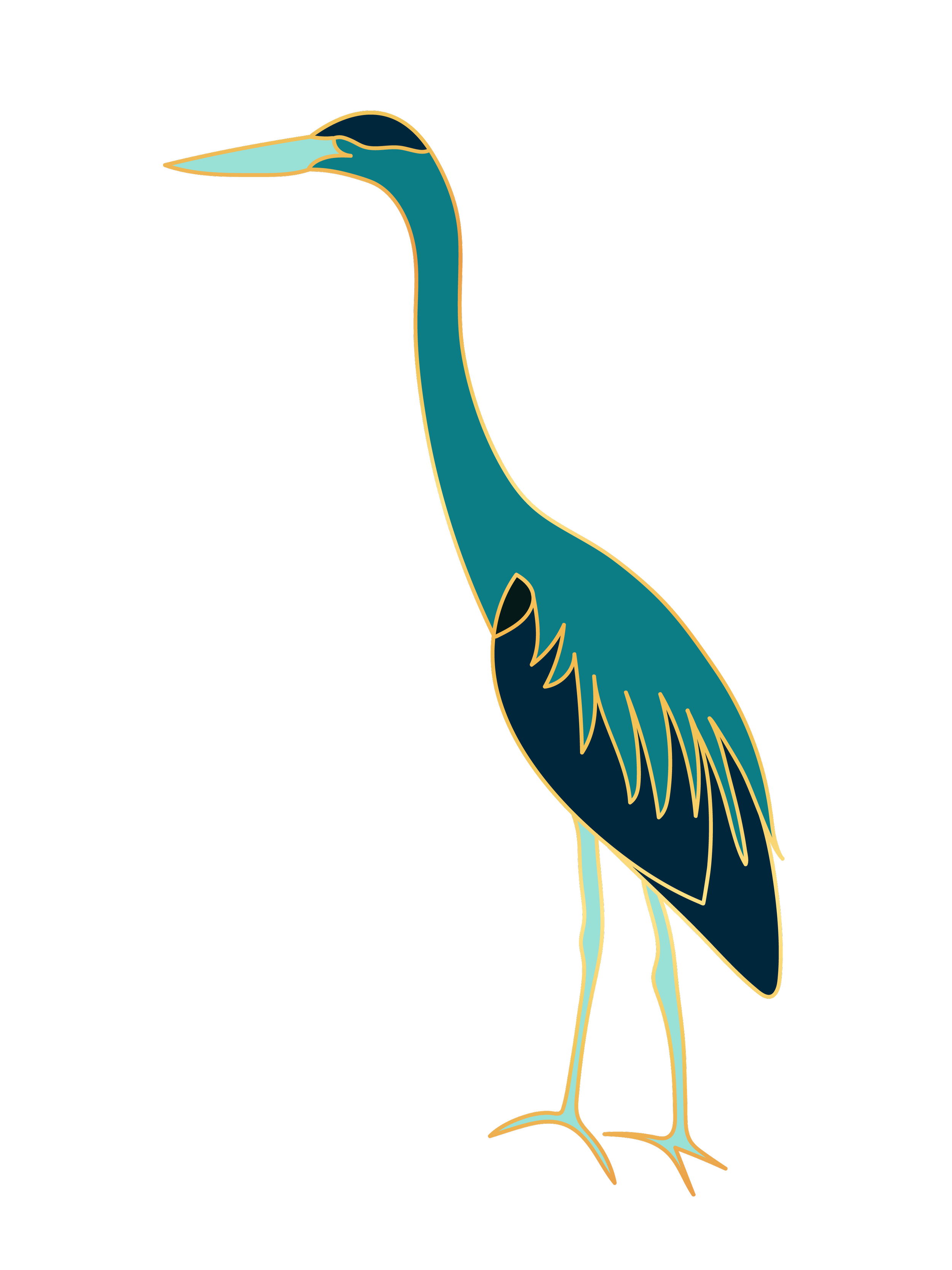 Great Blue Heron illustration representing Madison Johnson