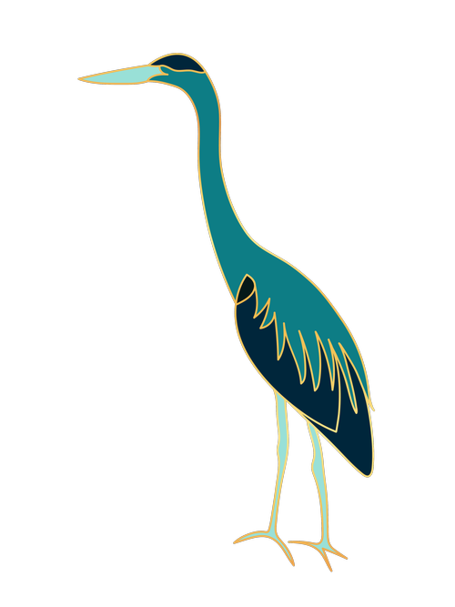 Great blue heron, Madison Johnson