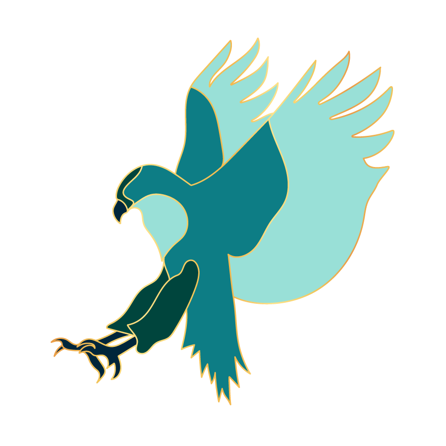 Hawk illustration for Jessie Benjamen, Director of Practice Operations