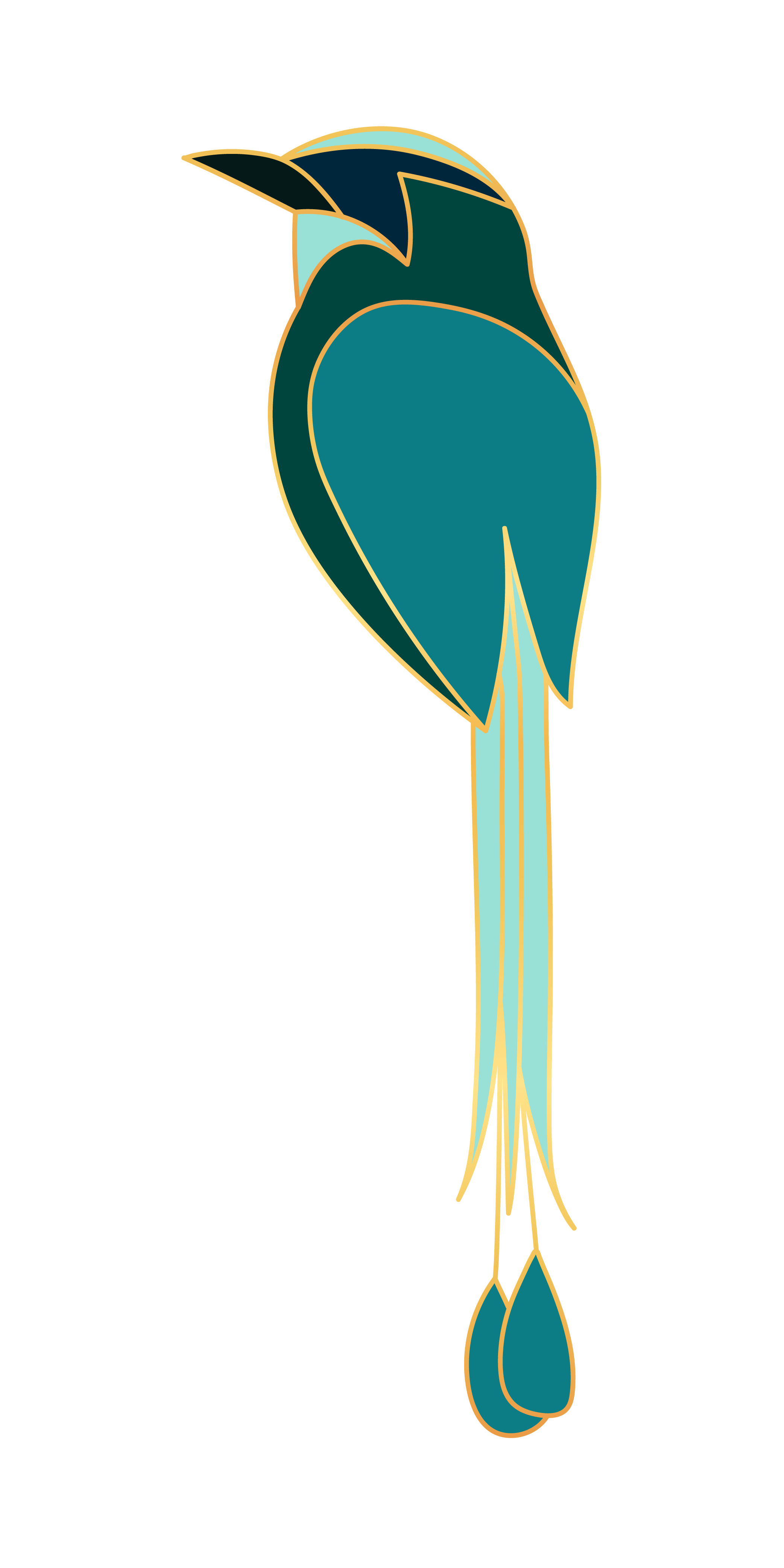 Blue-crowned motmot illustration for Katana Jones, LMSW, perinatal therapist