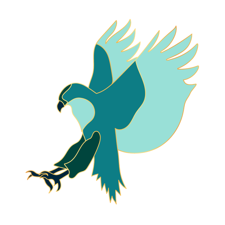 The hawk, Jessie Benjamen's bird at Ala Therapy Collective