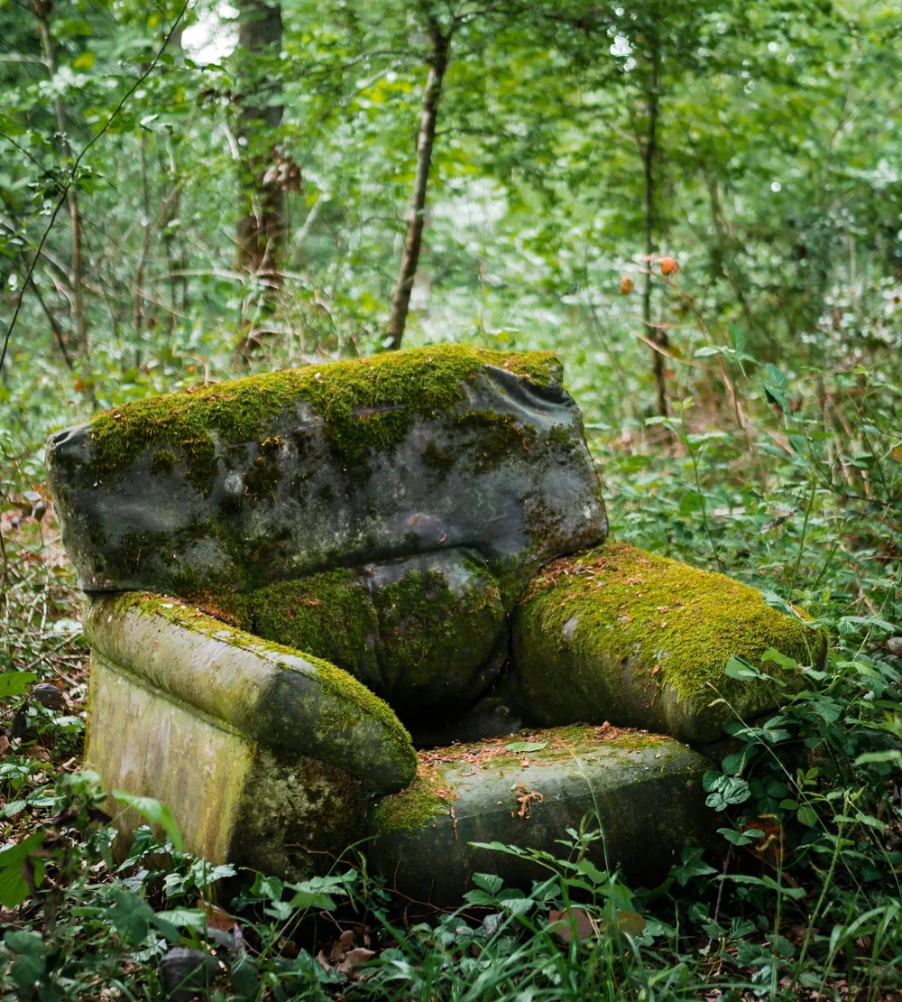 Moss covered armchair in the woods, a nod to therapy that happens outdoors instead of in an office
