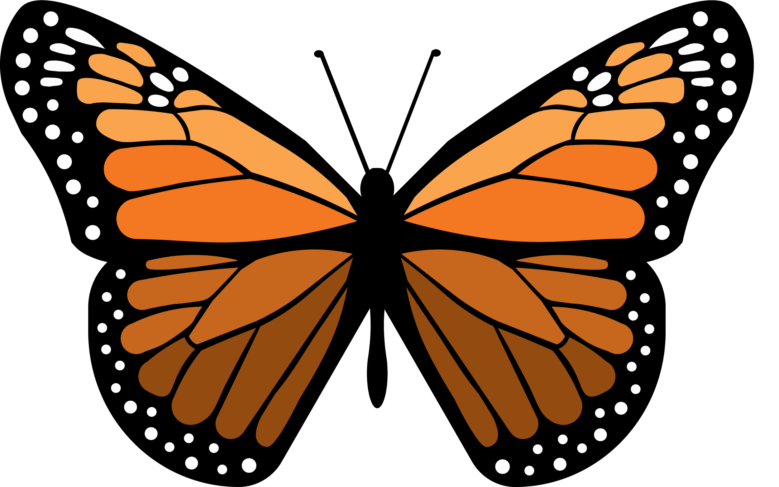 Ala Therapy Collective is LGBTQIA+ affirming and welcomes clients of all identities and orientations for therapy in Oklahoma.