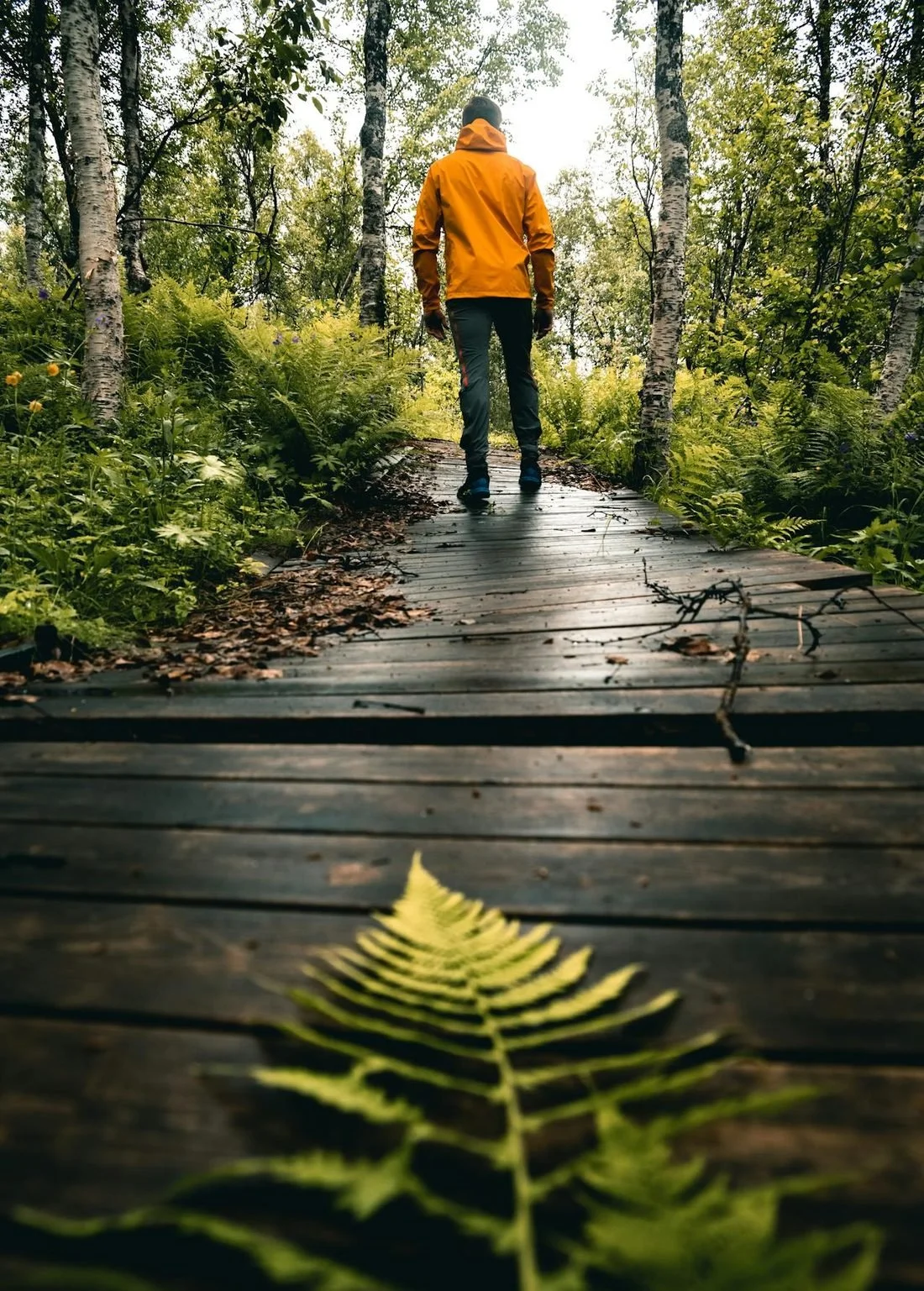 Person walking a wooded trail during a walk and talk outdoor therapy session near Tulsa