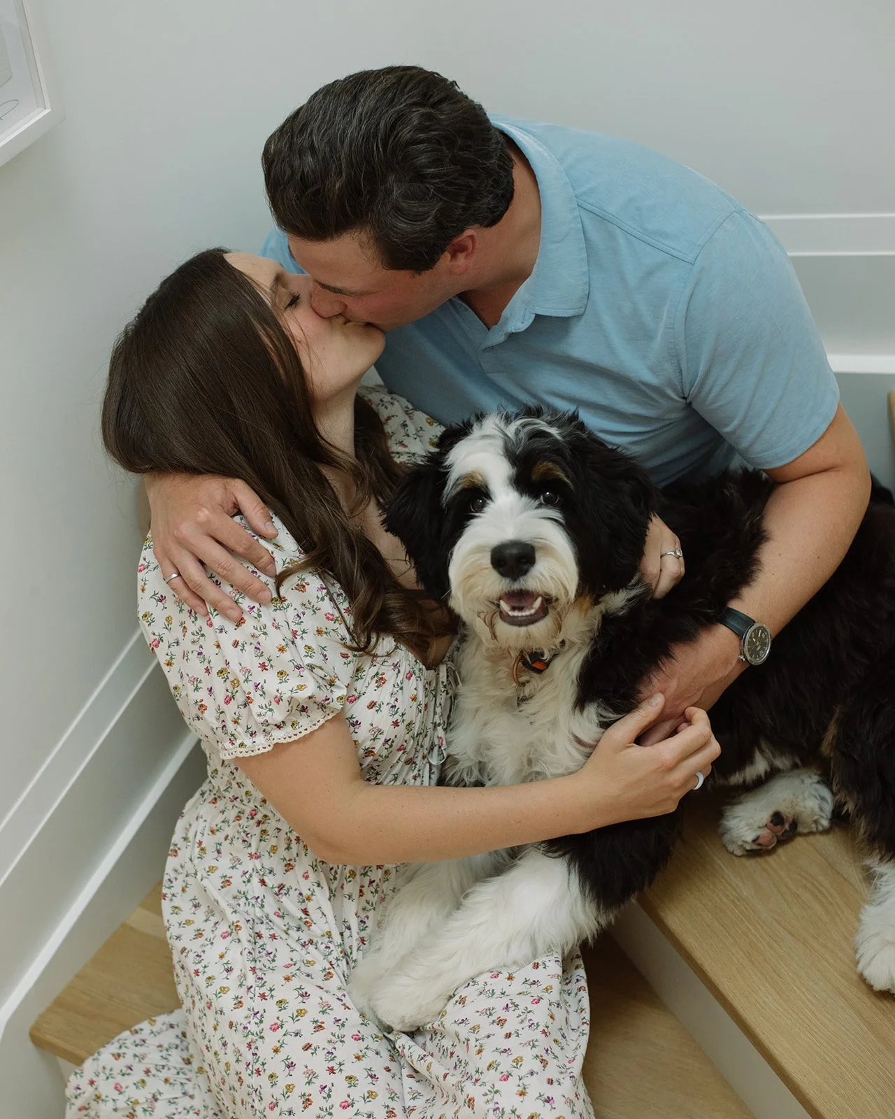 A couple kissing while sitting on a wooden bench with their pet dog, a black and white Bernese Mountain Dog, in a room with white walls in Toronto, Ontario.