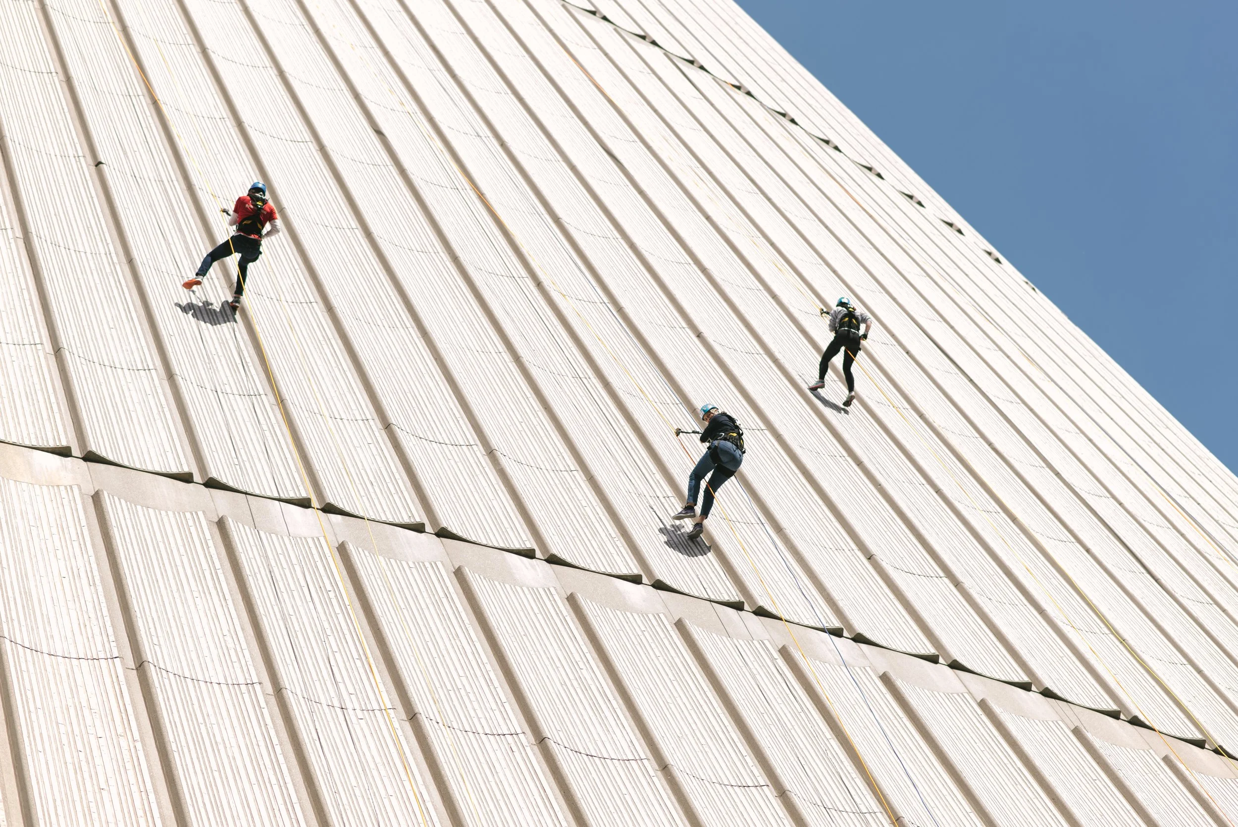 Four workers in safety gear rappelling down the side of a large modern building with a textured white exterior.