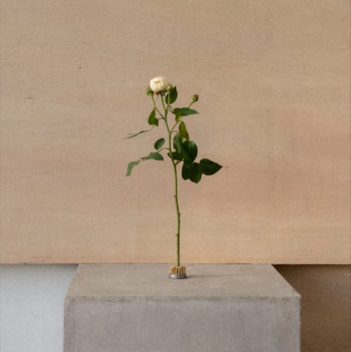 Coming very soon&hellip;