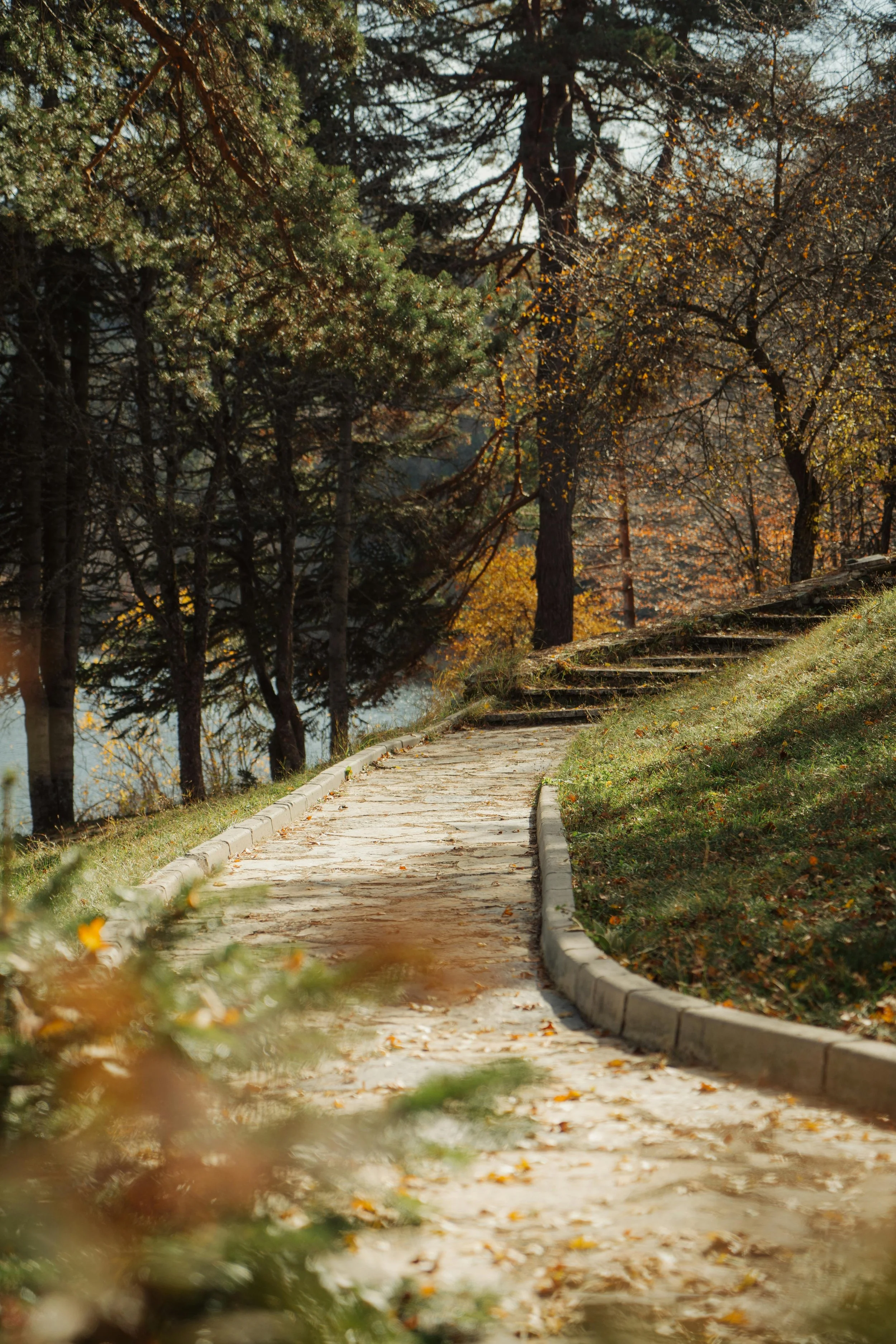 A wide stone path through the forest with a lake to one side