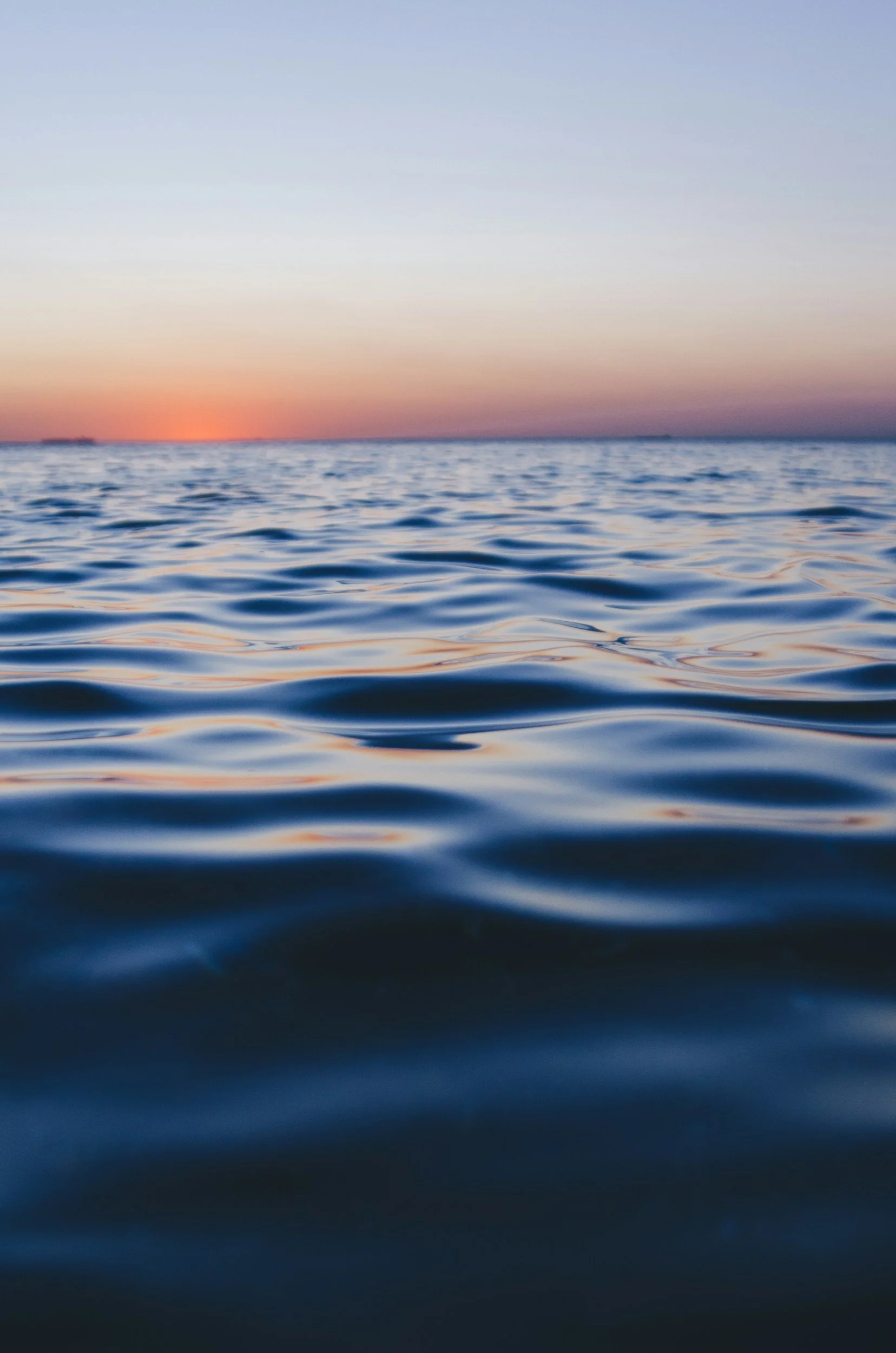 unsplash-image-rMomUnwLOQs.jpg