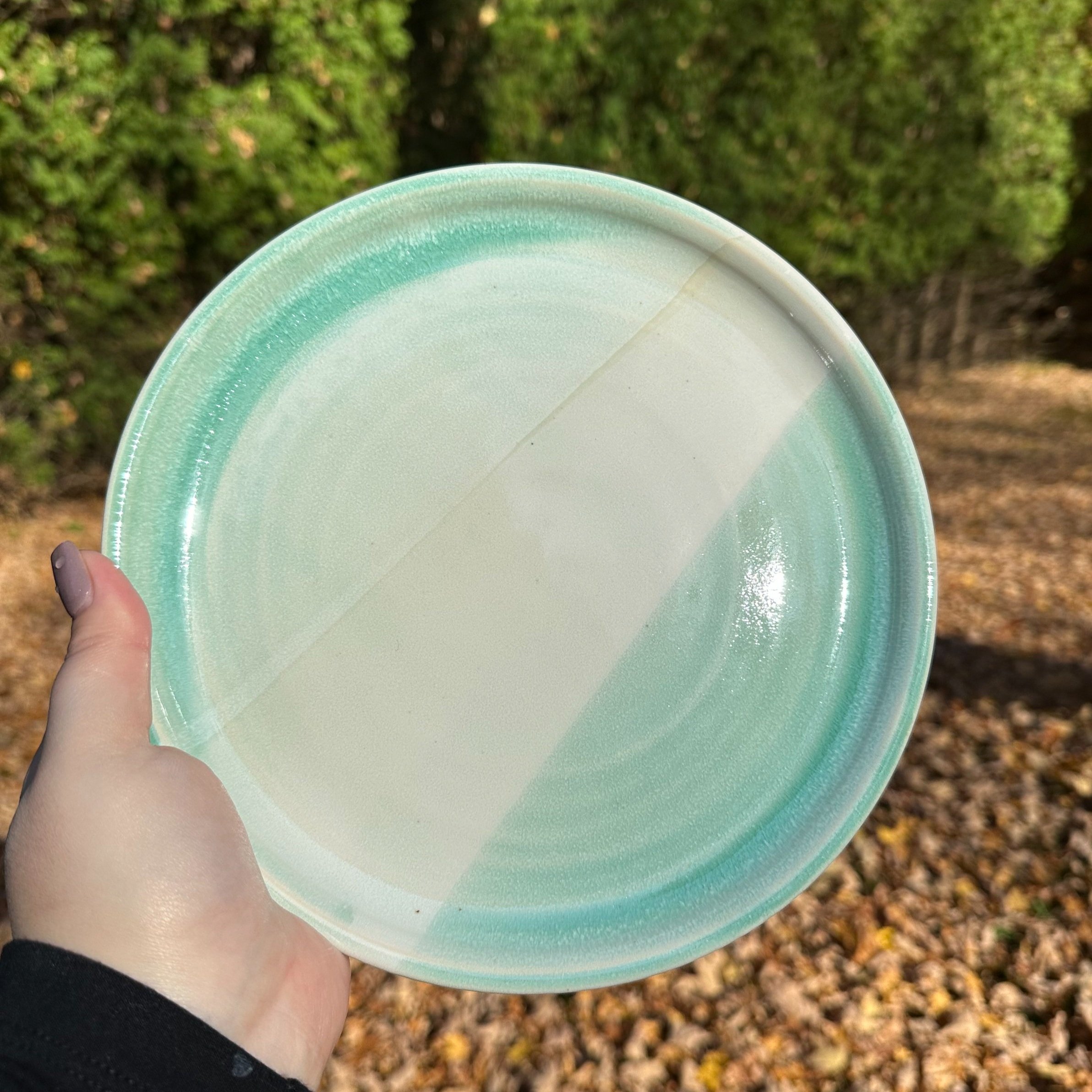9" Diameter Plate