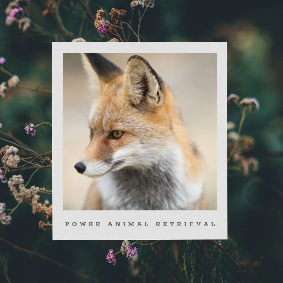 Power Animal Retrieval