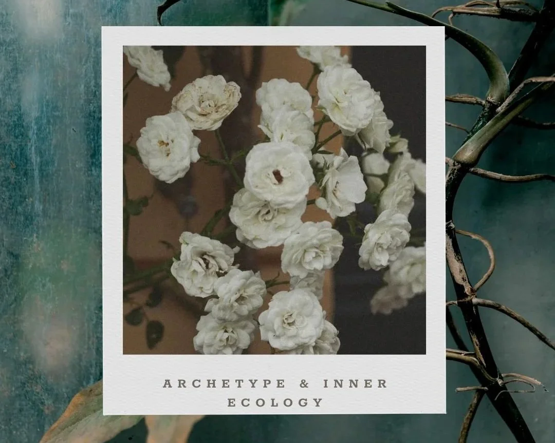 Archetype & Inner Ecology Reading