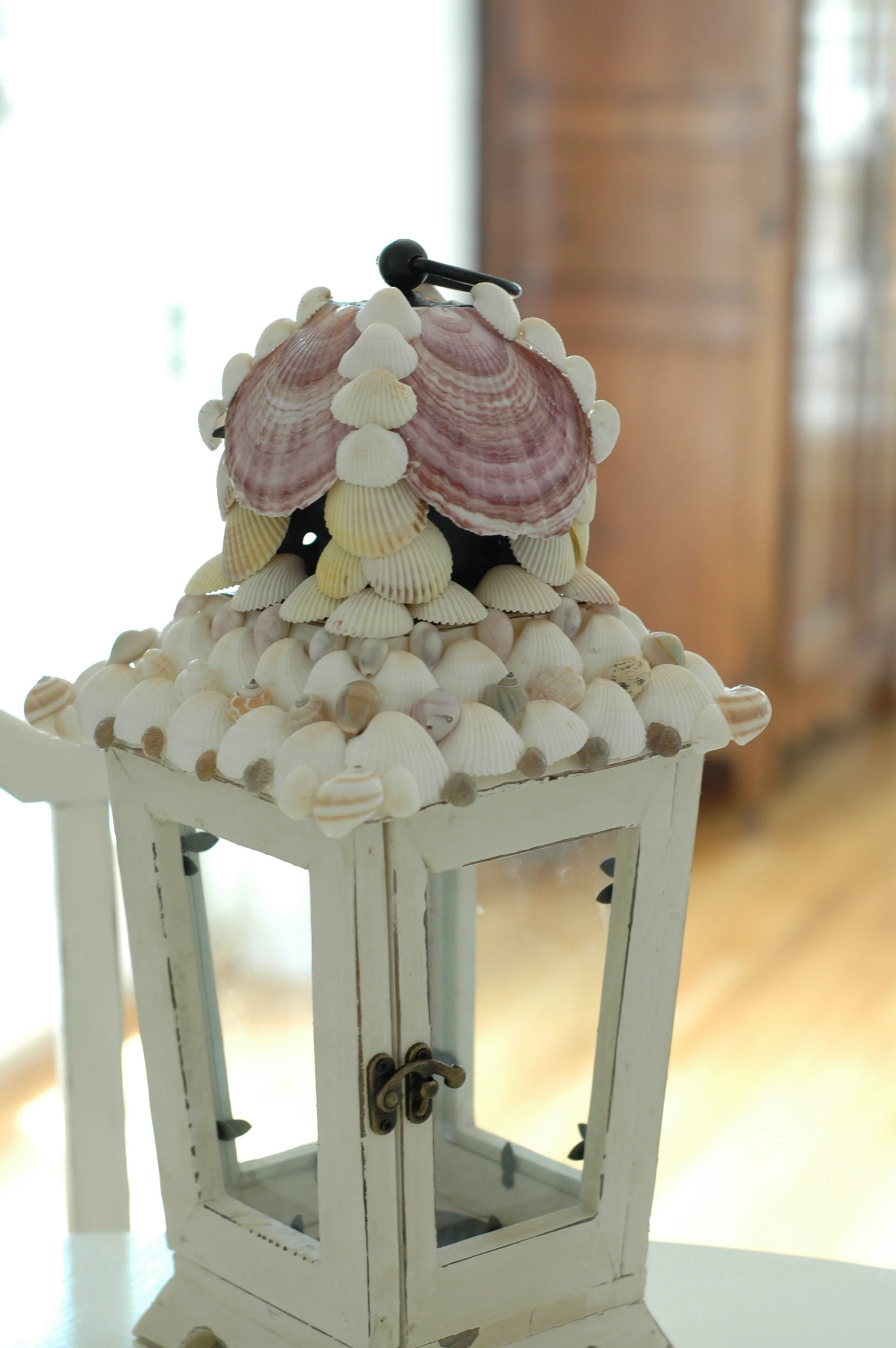 Shells and Boat pics 067 copy.jpg