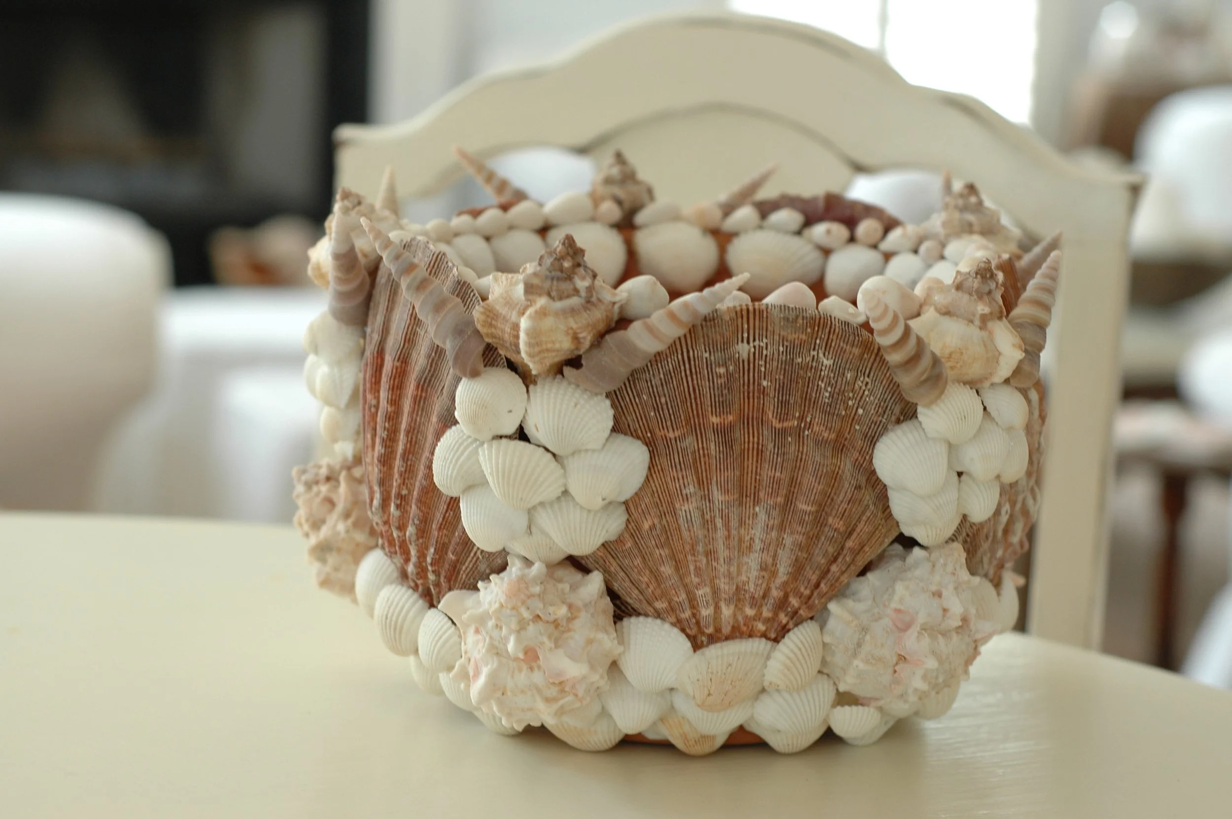 Shells and Boat pics 028 copy.jpg