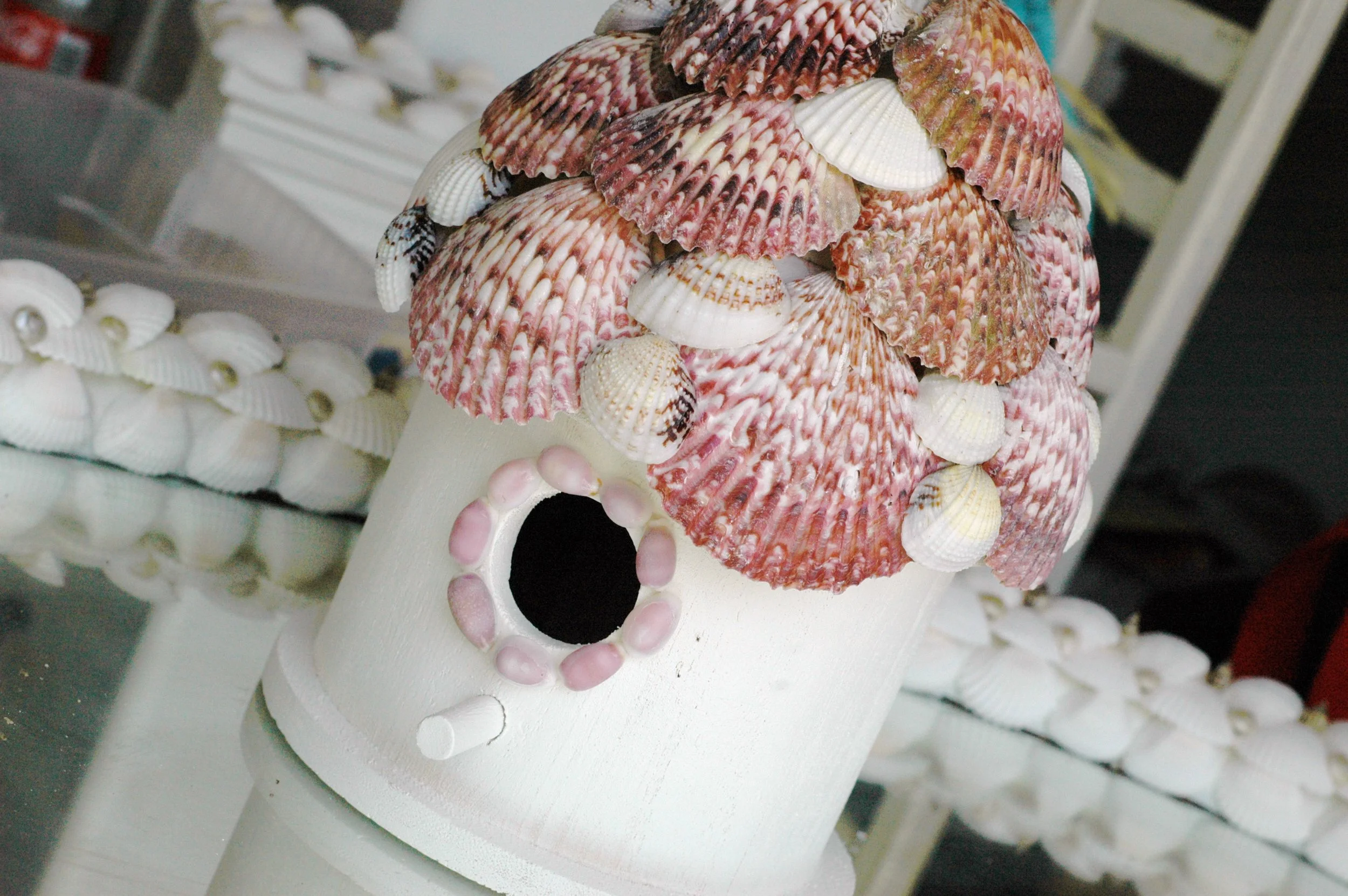 Shells and Boat pics 033 copy.jpg