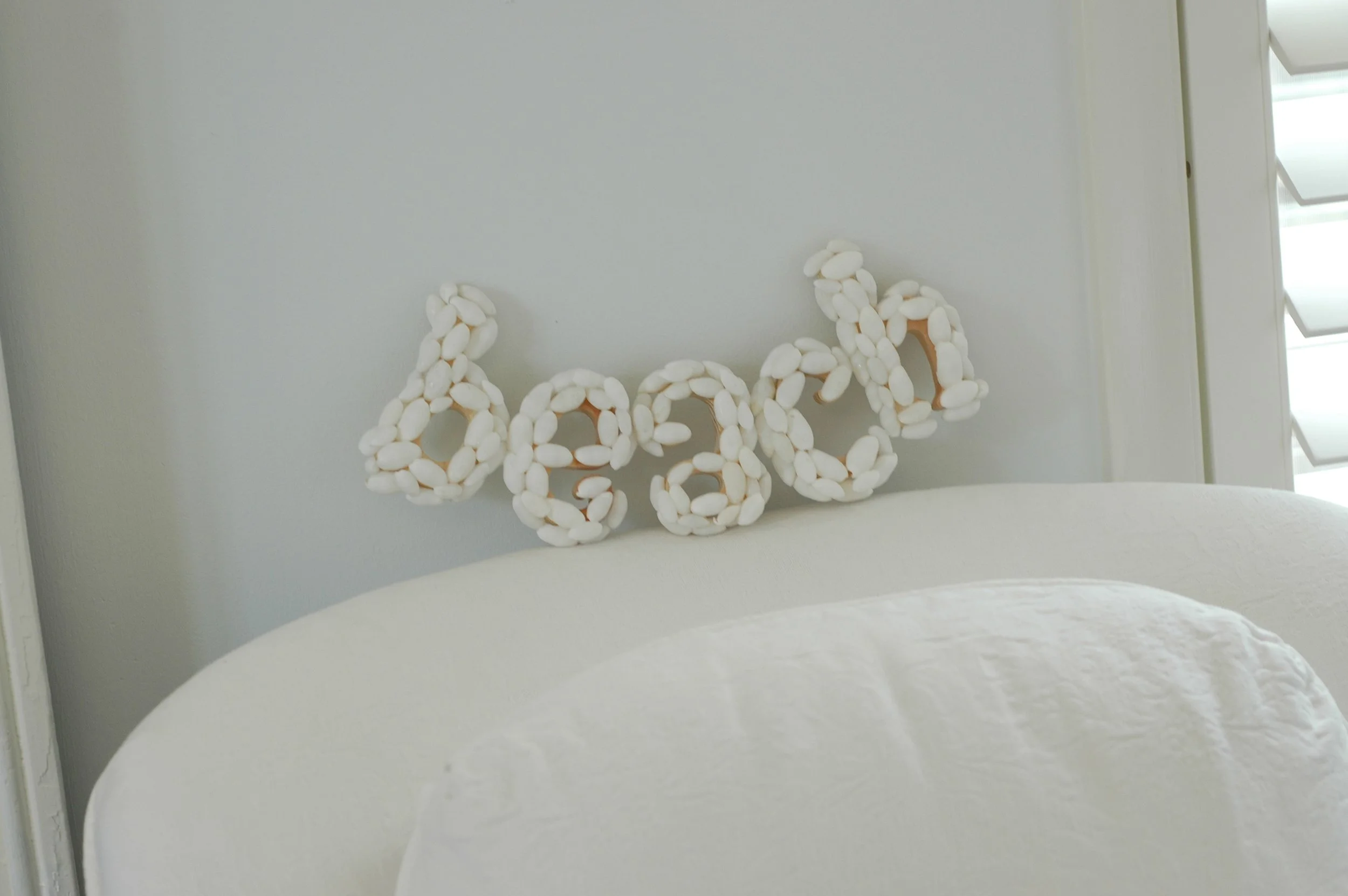 Shells and Boat pics 059 copy.jpg