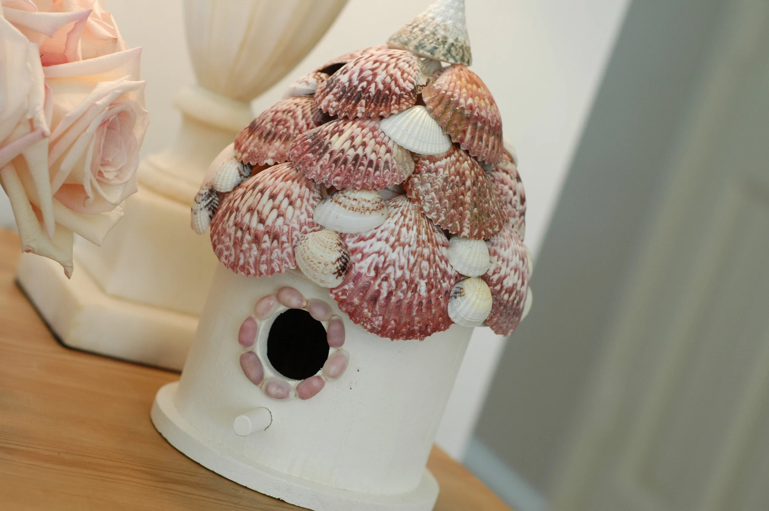 Shells and Boat pics 061 copy.jpg