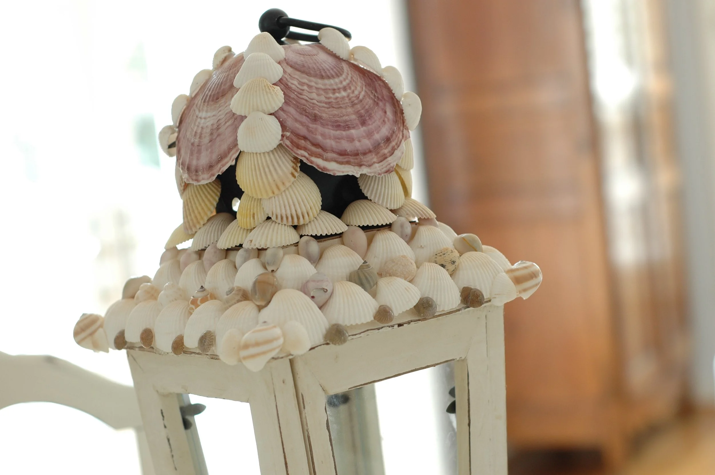 Shells and Boat pics 065 copy.jpg