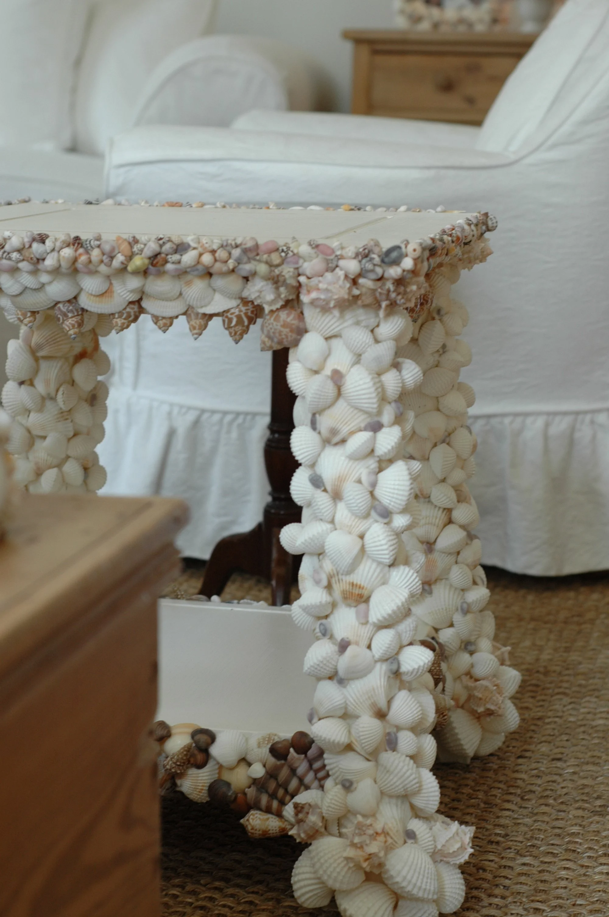 Shells and Boat pics 031 copy.jpg