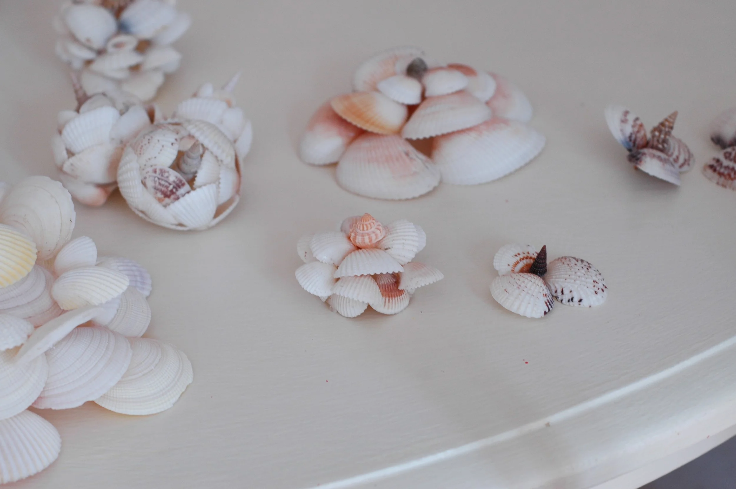 Shells and Boat pics 043 copy.jpg