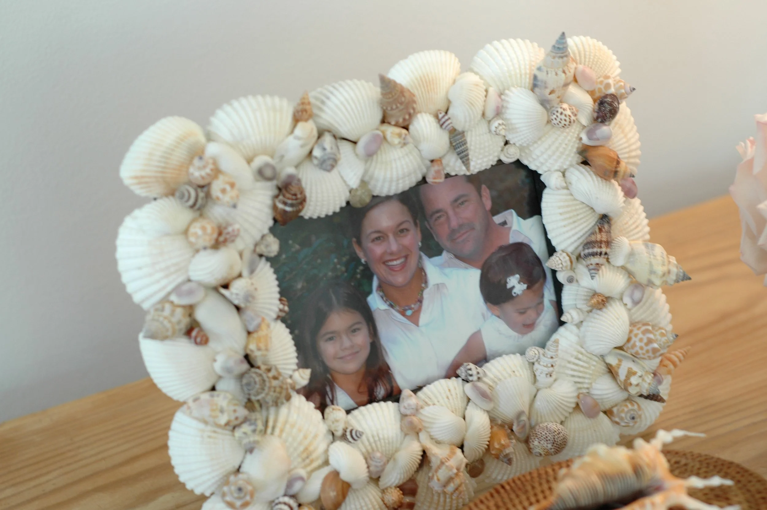 Shells and Boat pics 062 copy.jpg