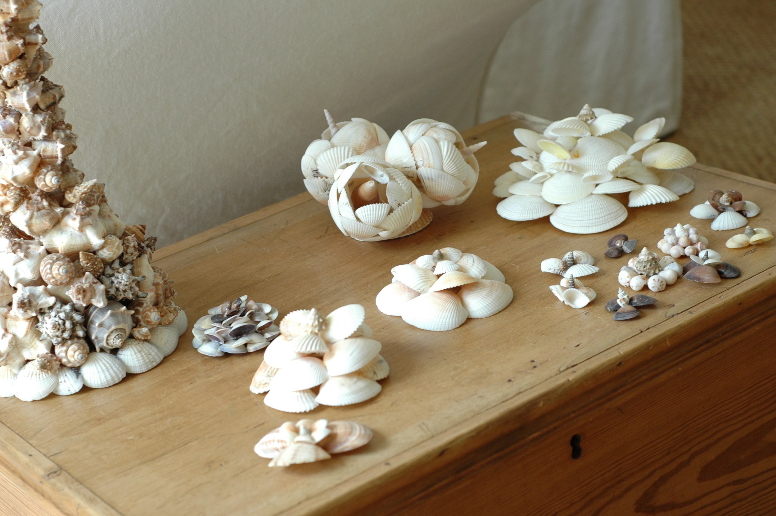 Shells and Boat pics 049 copy.jpg