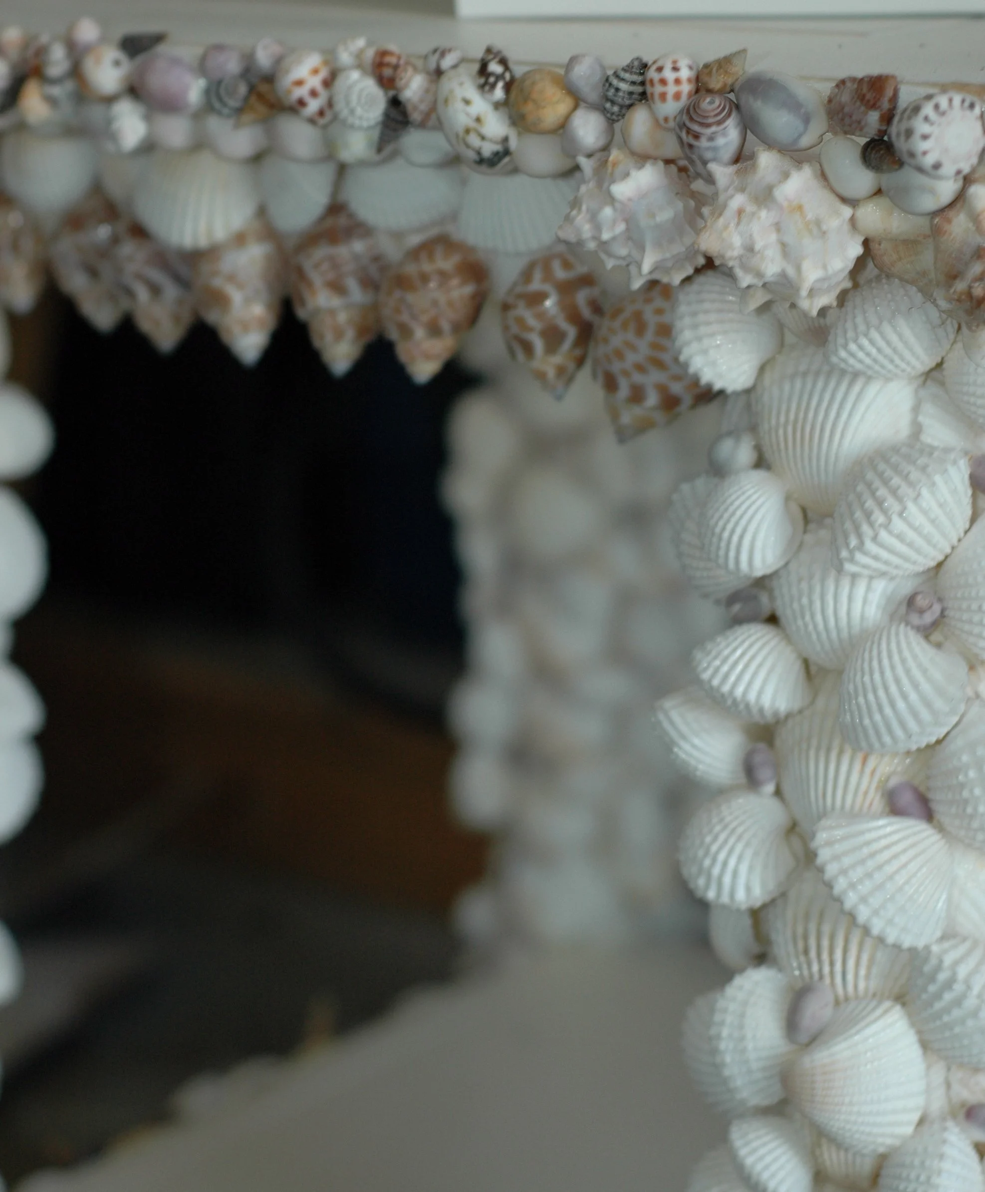 Shells and Boat pics 055 copy.jpg