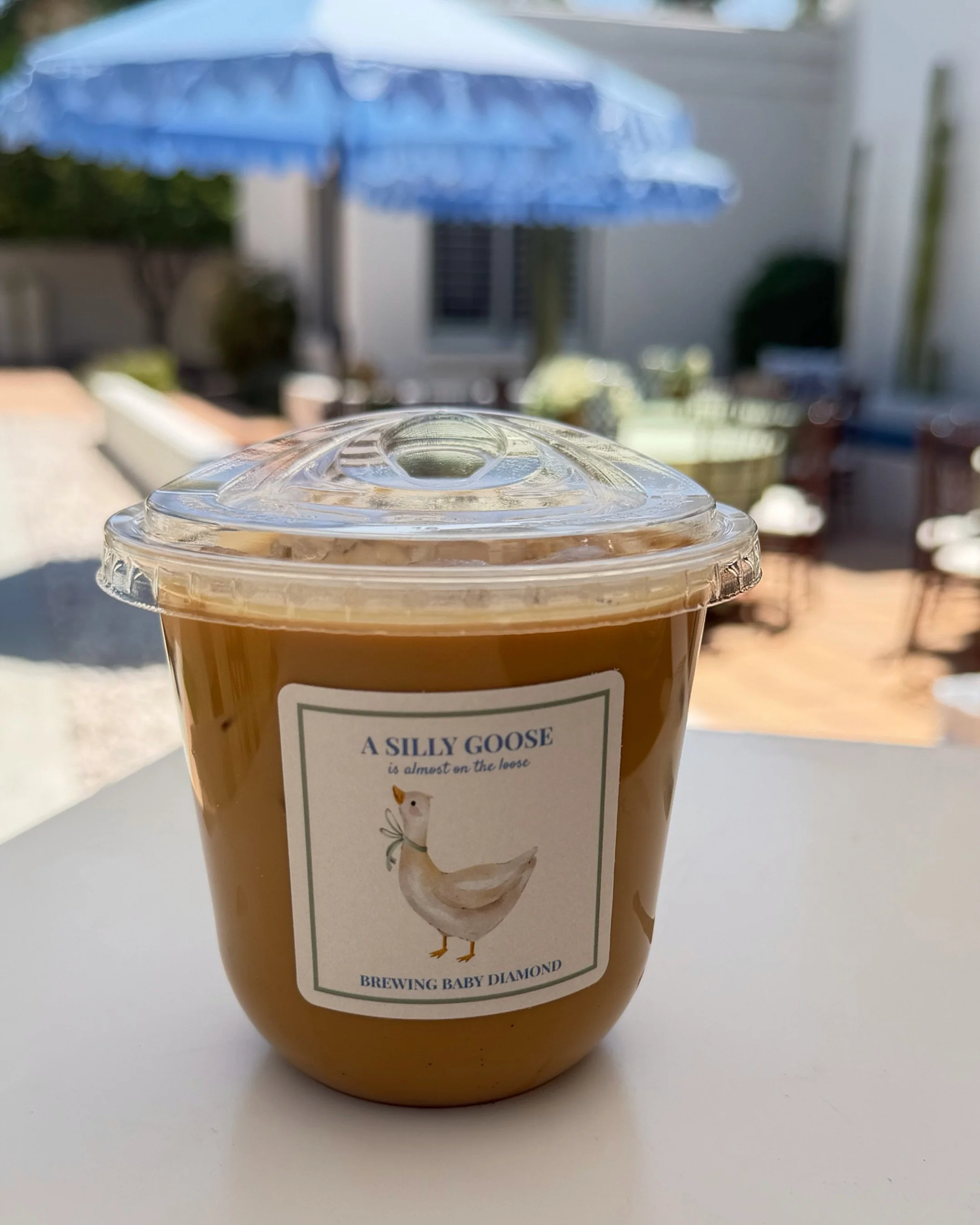 From baby showers to &ldquo;just because&rdquo; celebrations, we love bringing the coffee cart experience to life ☕️🪿 This silly goose shower was one for the books. If you&rsquo;re planning a celebration, let us bring the cozy caf&eacute; experience
