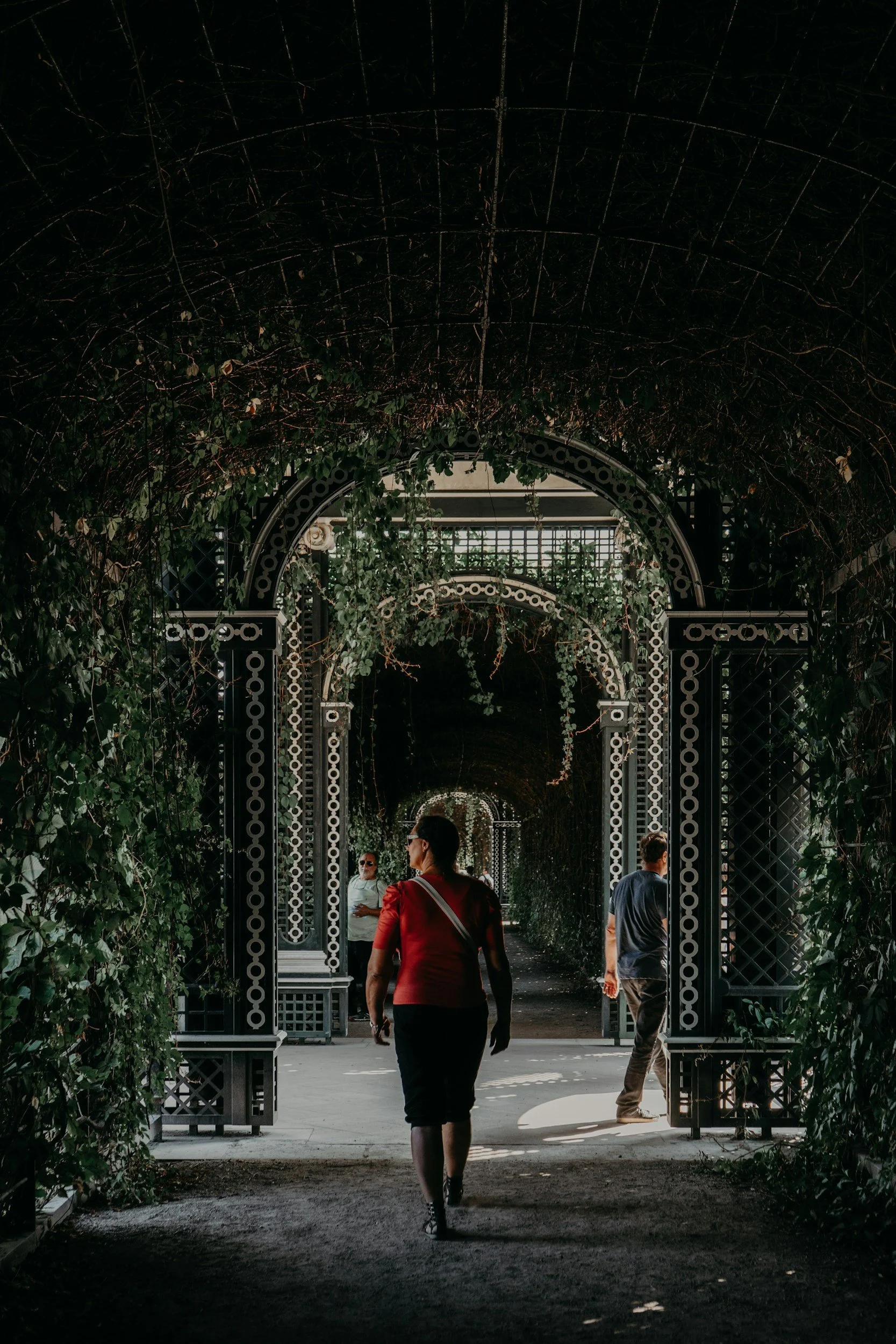 unsplash-image-6rt6vmNh-2M.jpg