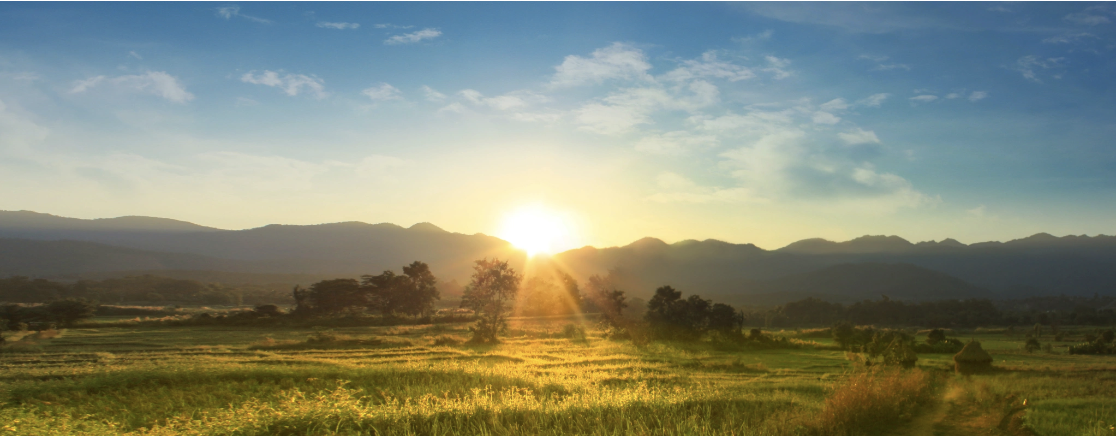 A wide panoramic view of a golden sunrise breaking over a lush green meadow with silhouetted trees and a mountain range in the distance, evoking the warmth, openness, and quiet hope that Malachi Gillihan's trauma recovery work aims to cultivate
