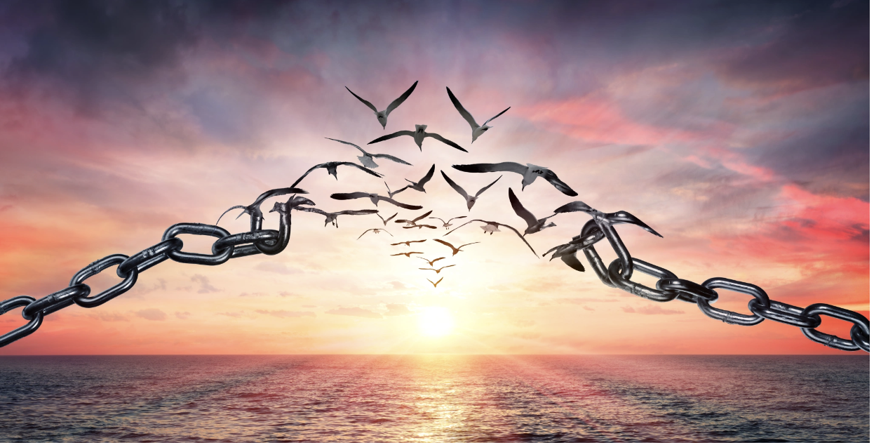 A composite image of a heavy chain breaking apart and transforming into birds in flight against a dramatic sunset over the ocean, used as a visual metaphor for liberation and the process of moving through trauma toward greater freedom