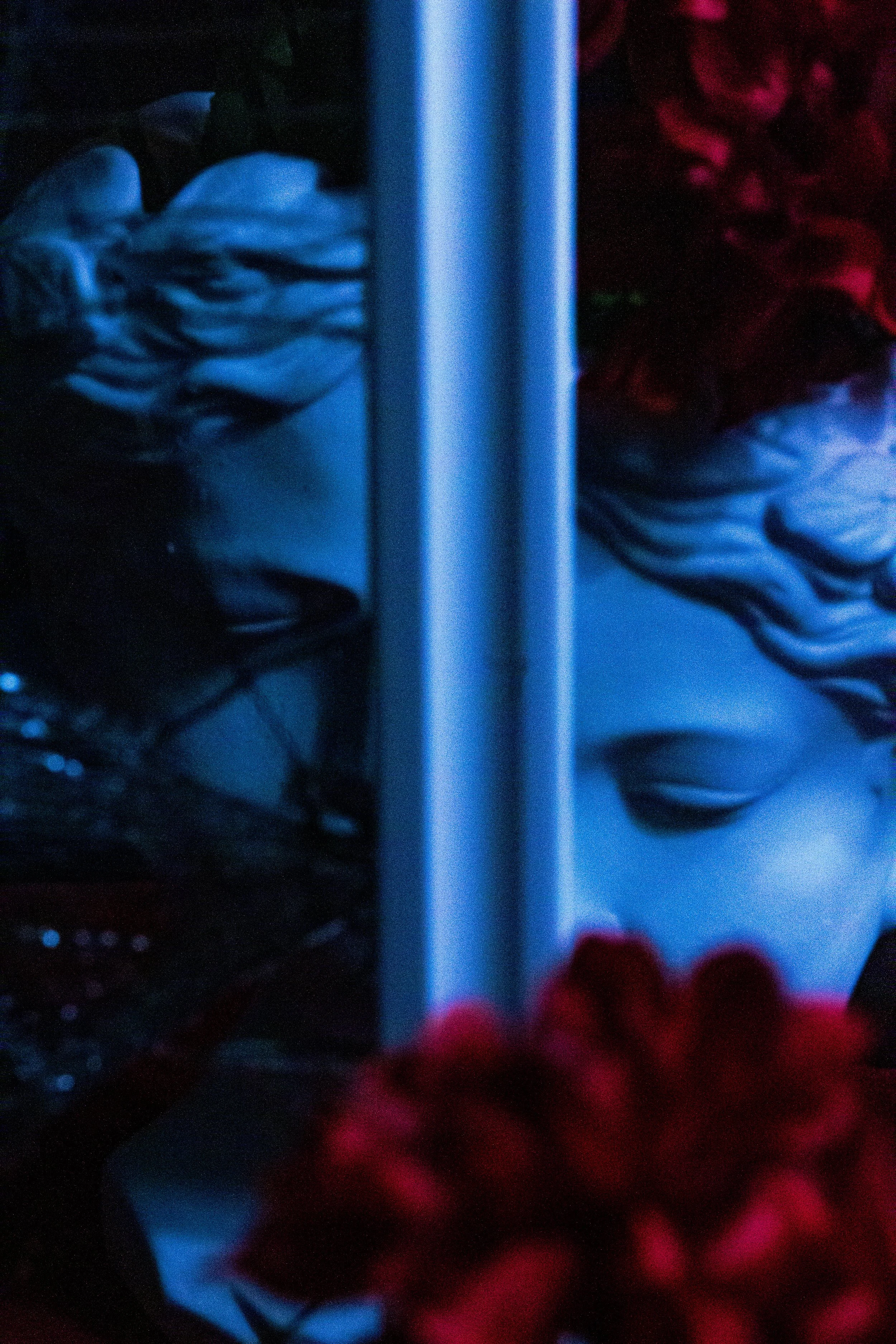 A blue-tinted plaster bust sculpture with red flowers in low light.