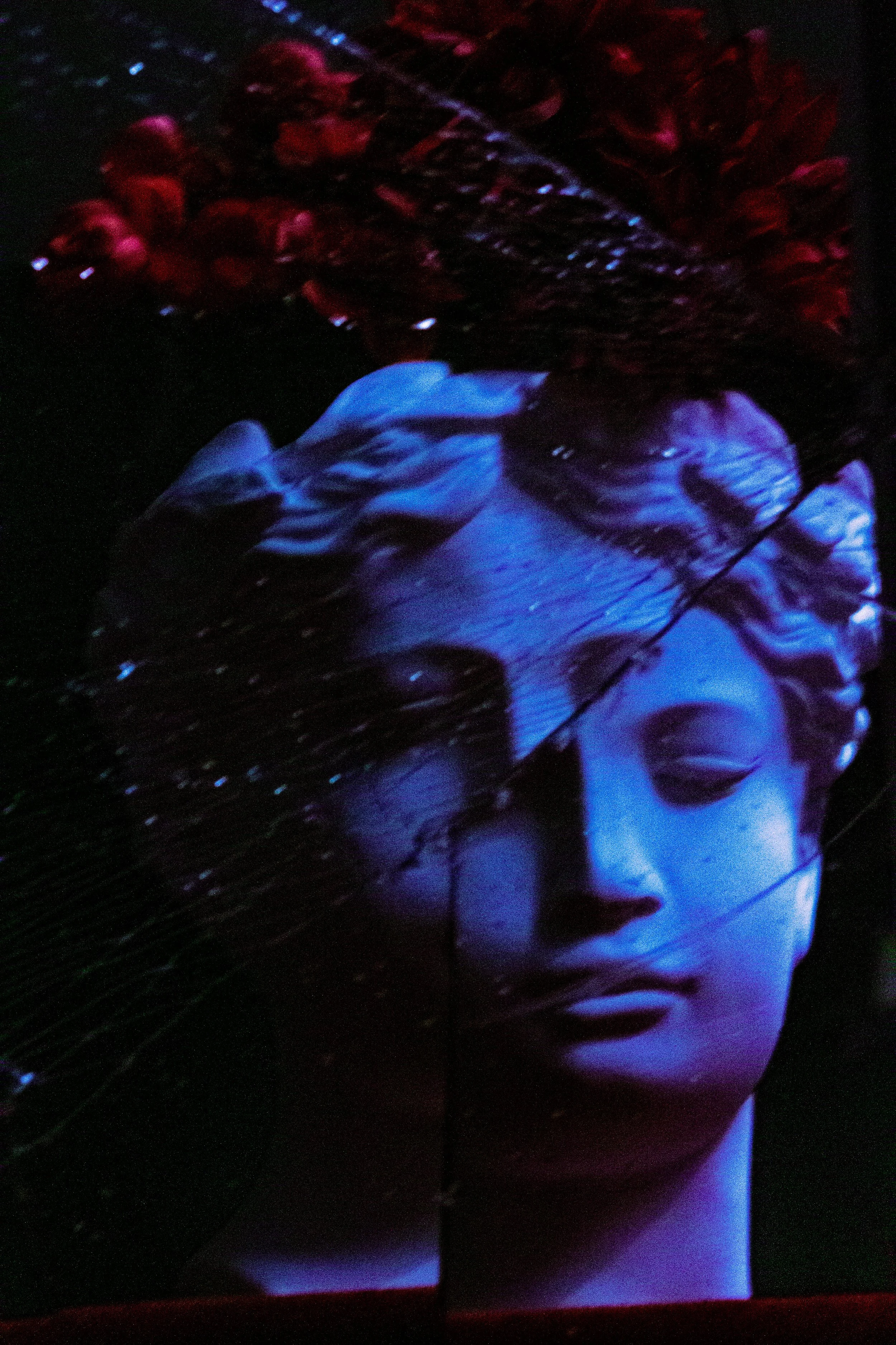 Bust of a classical statue with blue lighting, surrounded by red flowers and a dark background.