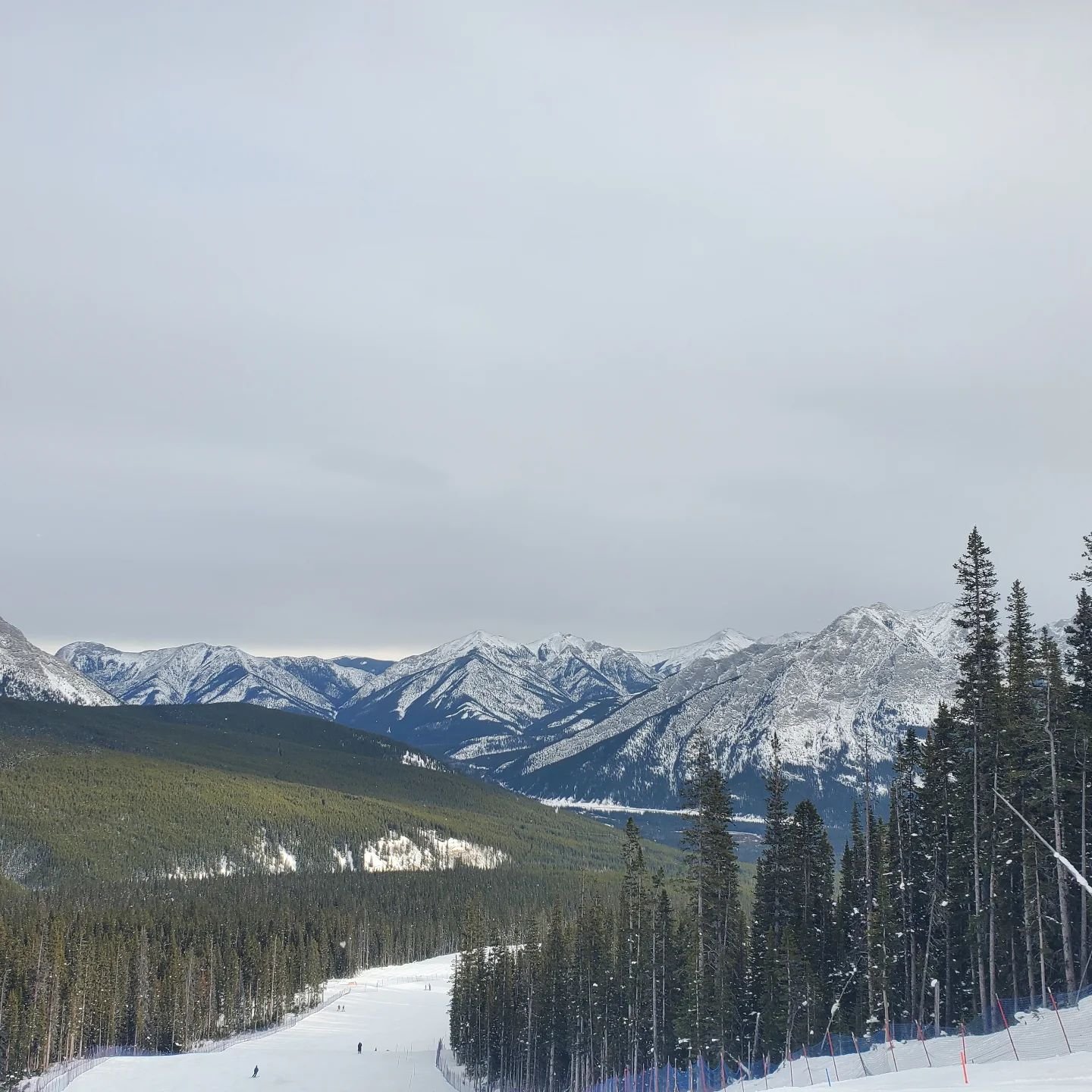 Nothing  like a day off in the mountains to revitalize the soul.
#calgaryartist #day off #skiing