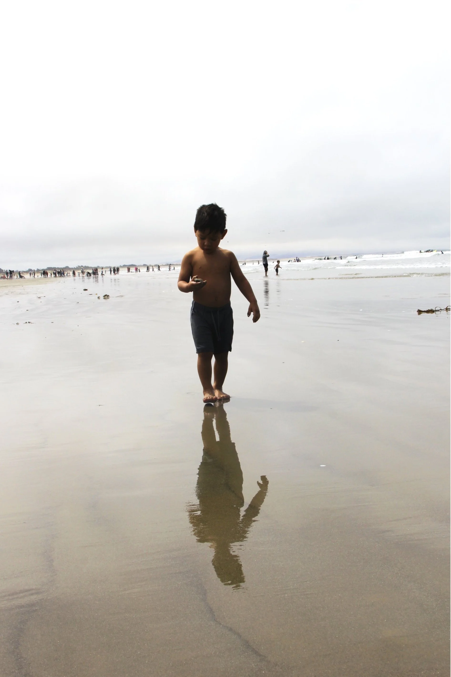 redwoodbeach.jpg